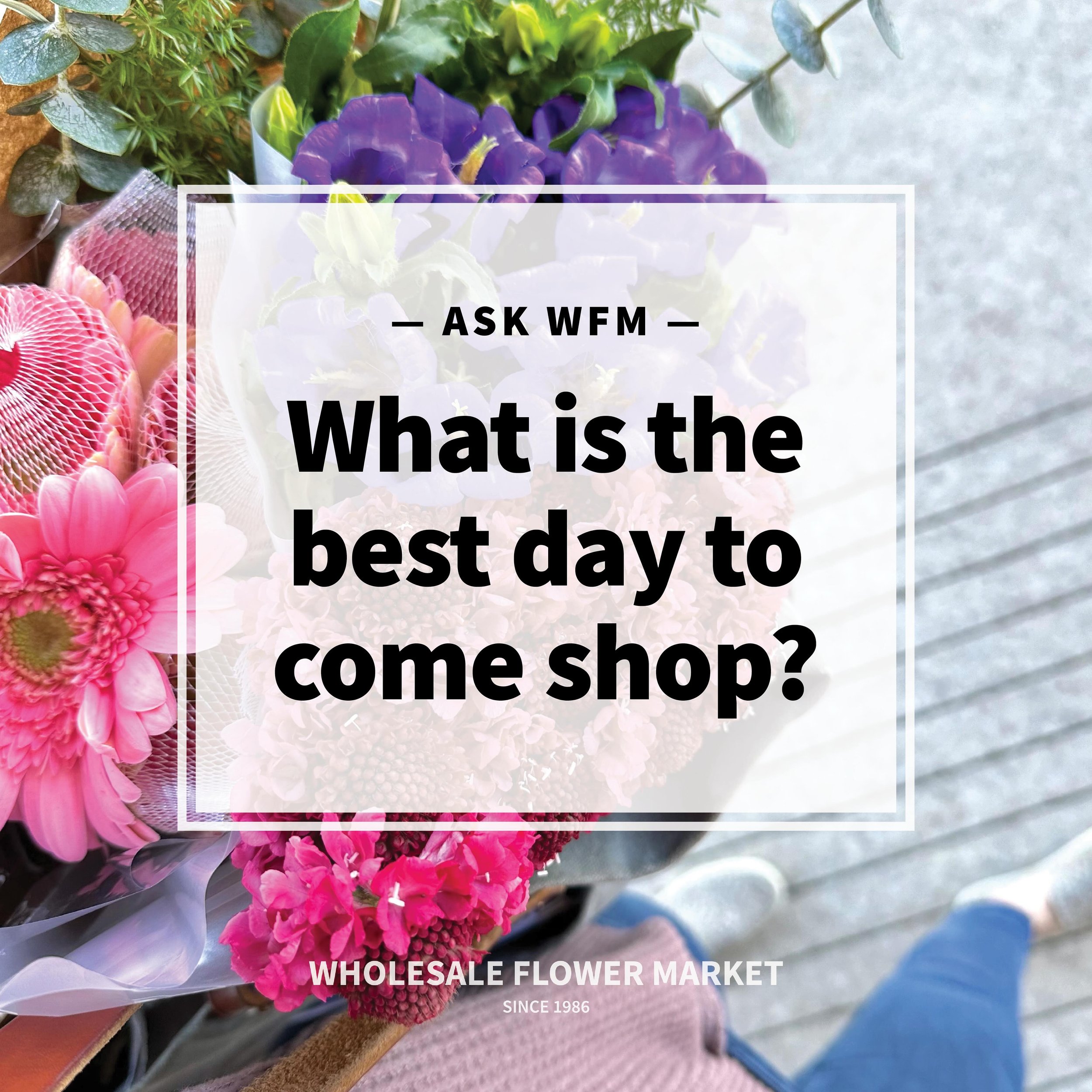 Customers often ask, &ldquo;What is the best day to come shop?&rdquo; Short answer: everyday! 😆 

We kid, we kid. Here&rsquo;s the scoop&hellip;

We get flower shipments multiple times a week which means that our selection is constantly refreshed wi