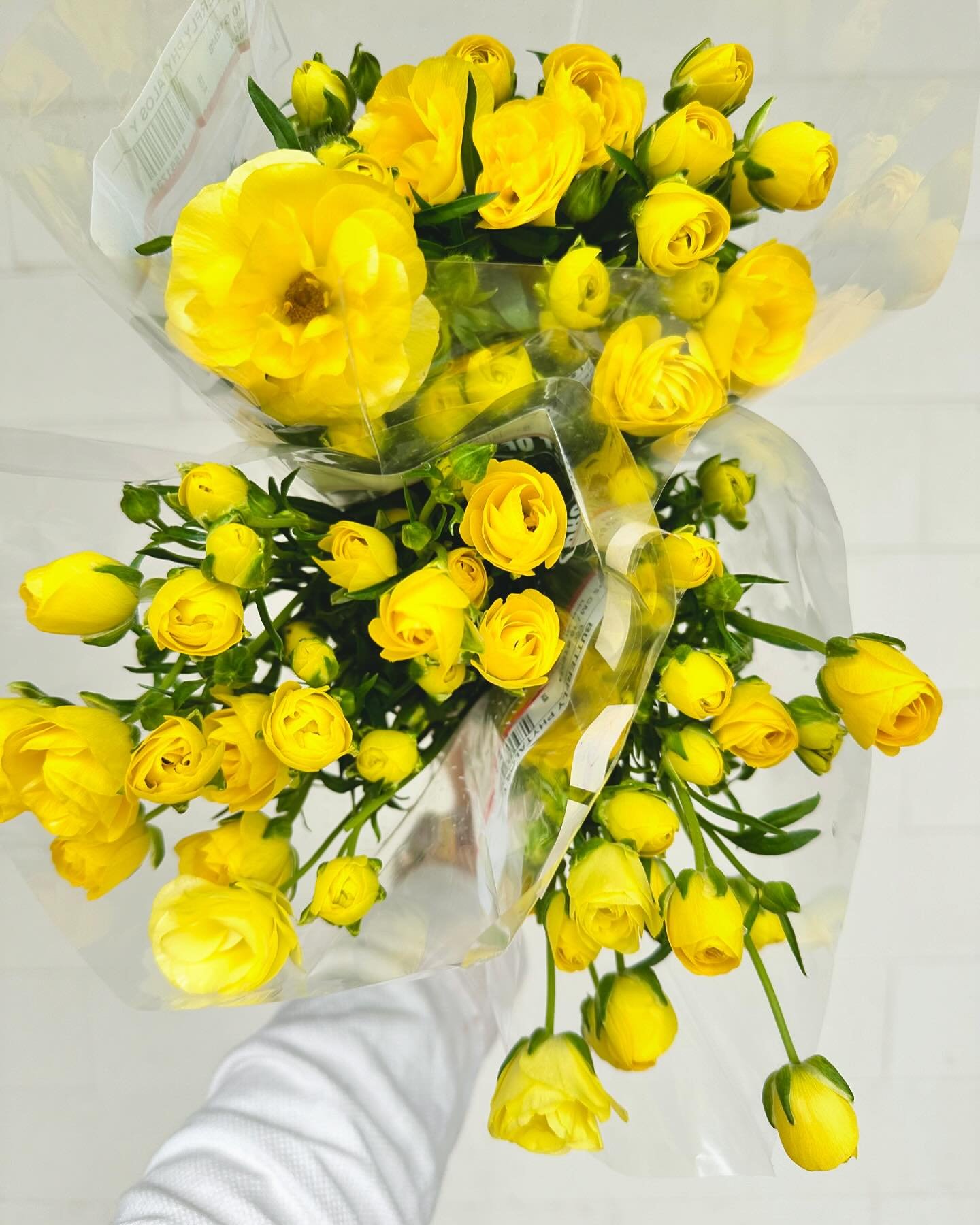 ☀️ A gloomy day calls for sunny flowers, don&rsquo;t ya think?

Butterfly ranunculus available now in our walk-in cooler (along with lots of other goodies)! 

#wholesaleflowermarket #wholesaleflowers #wholesaleflorist #bulkflowers #diyflowers #chesap