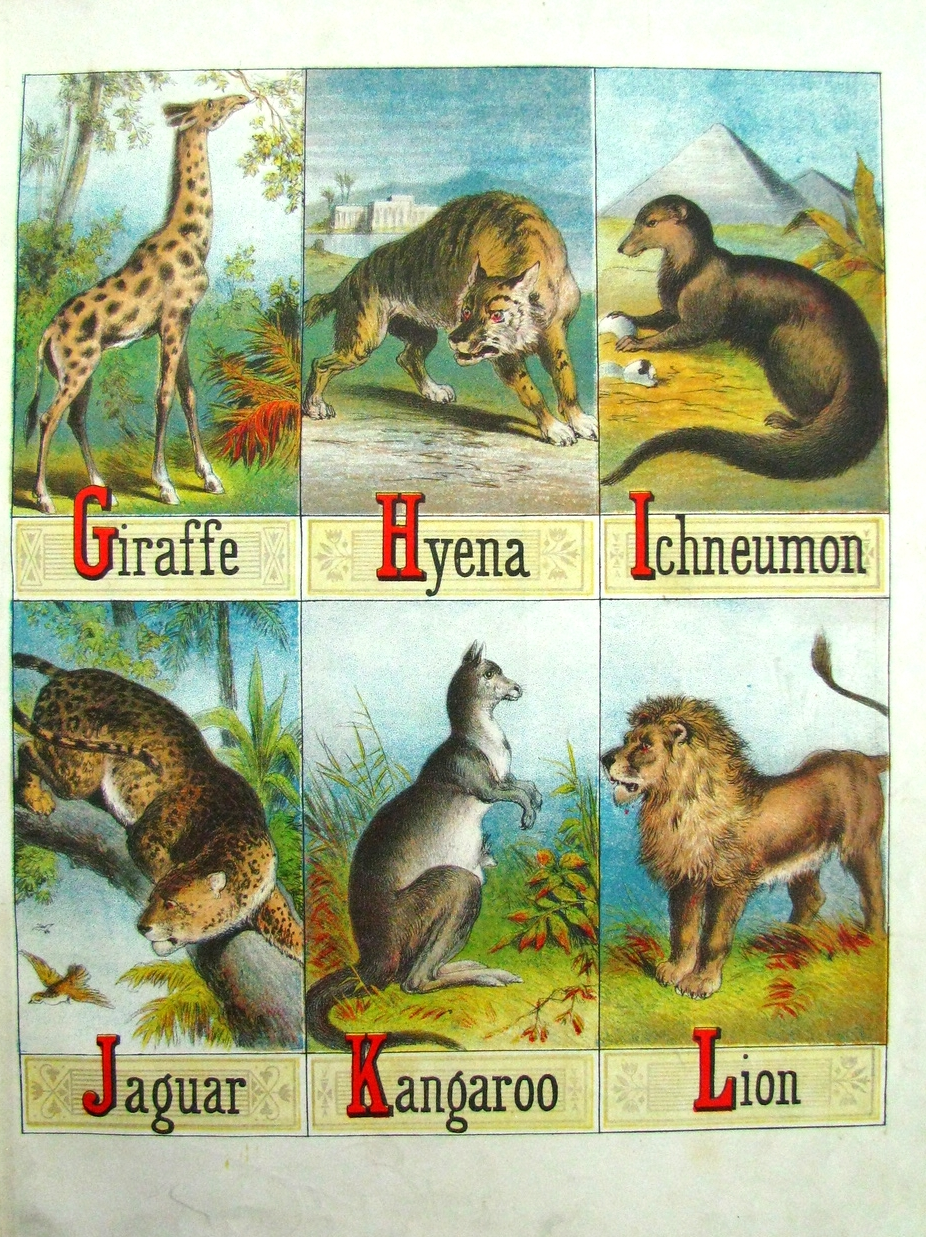 THE CHILD'S PICTURE BOOK OF ALPHABETS ; Nelson & Sons