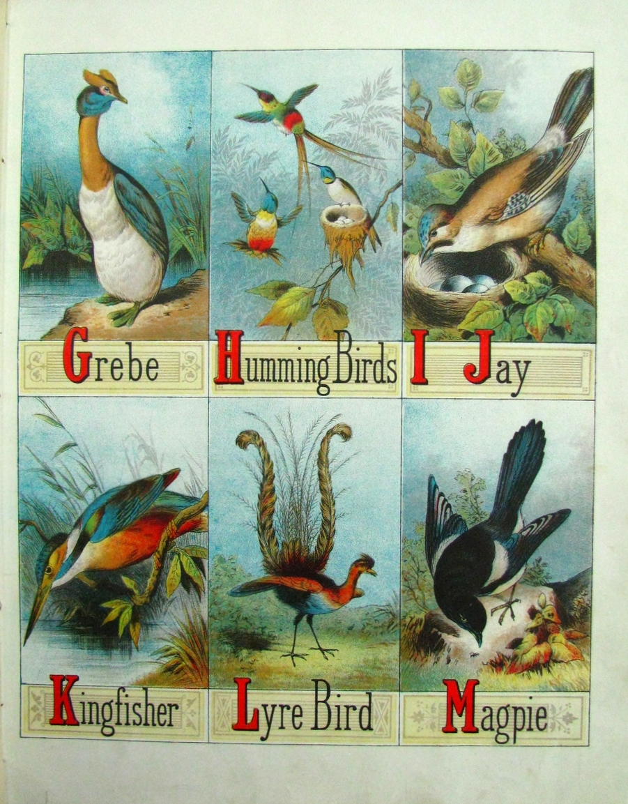 THE CHILD'S PICTURE BOOK OF ALPHABETS ; Nelson & Sons