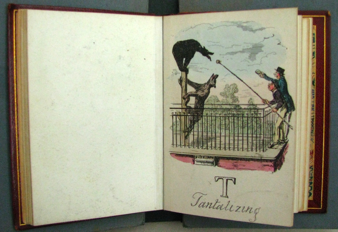Aunt Louisa's Alphabet Book