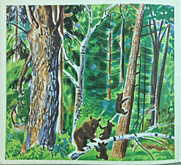 Interior page from Bourru, The Brown Bear