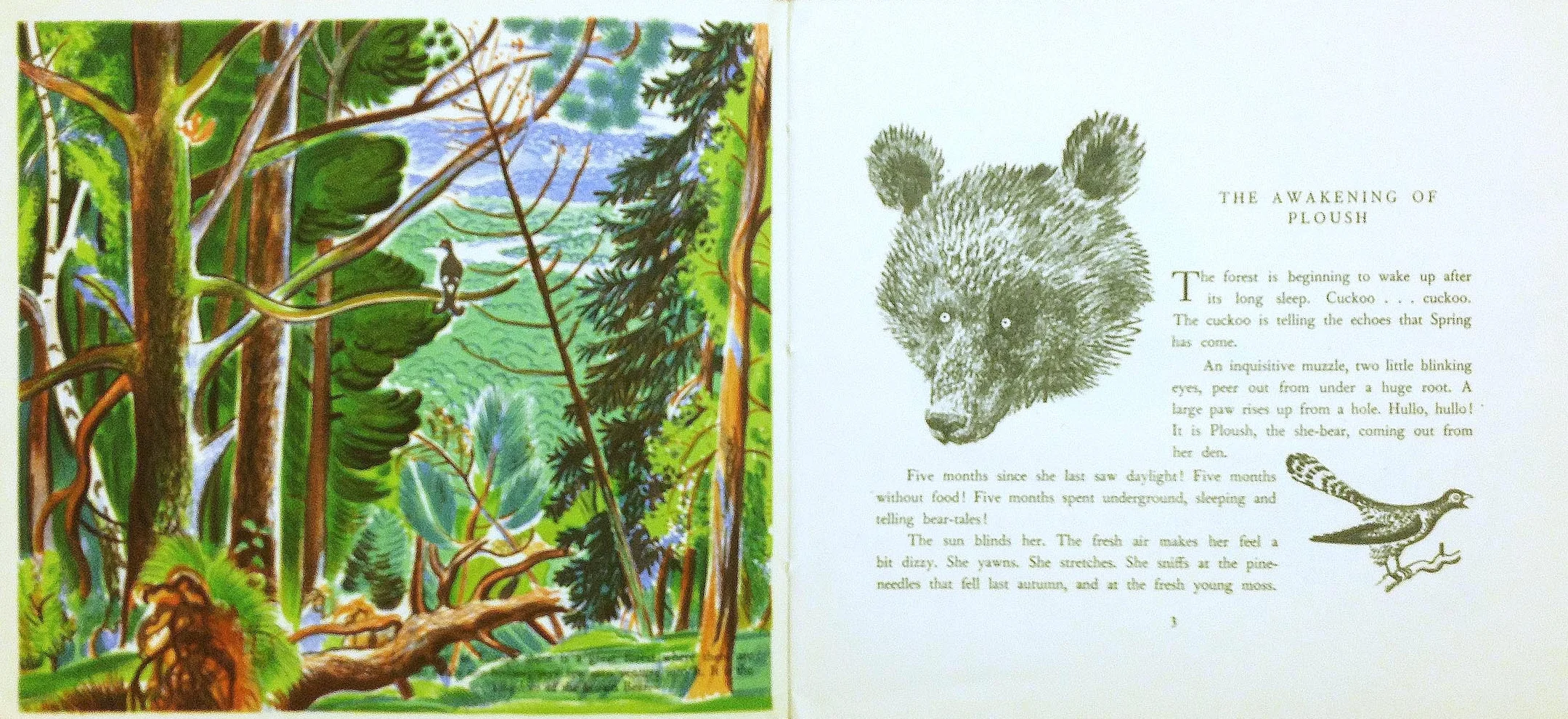 Interior pages from Bourru, The Brown Bear