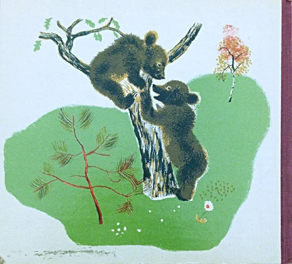 Back cover of Bourru, The Brown Bear
