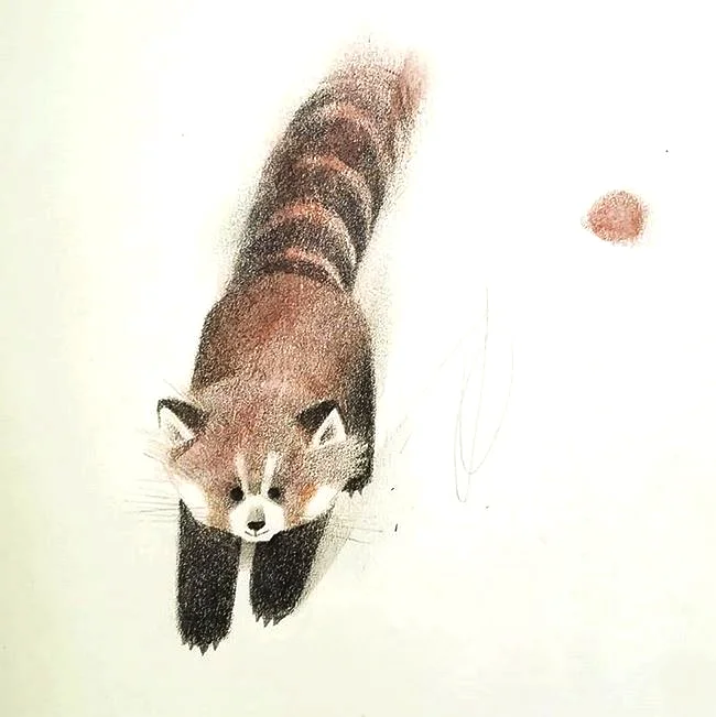 redpanda.JPG