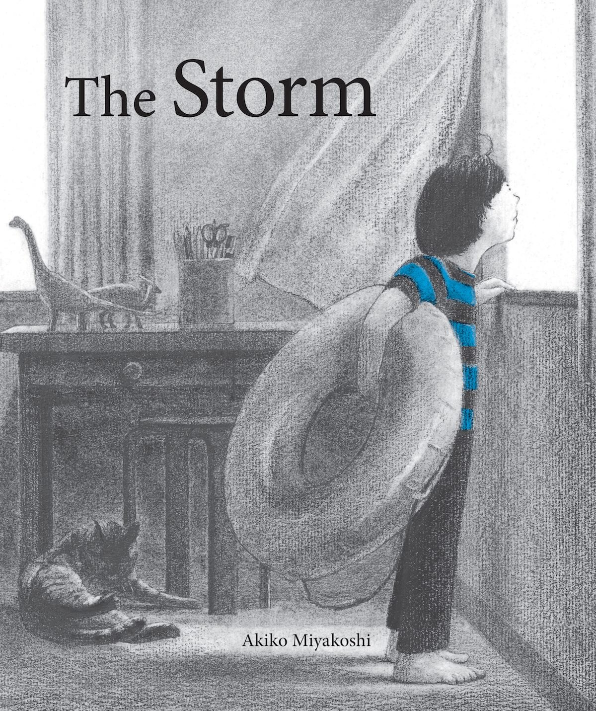 Storm cover small.jpg