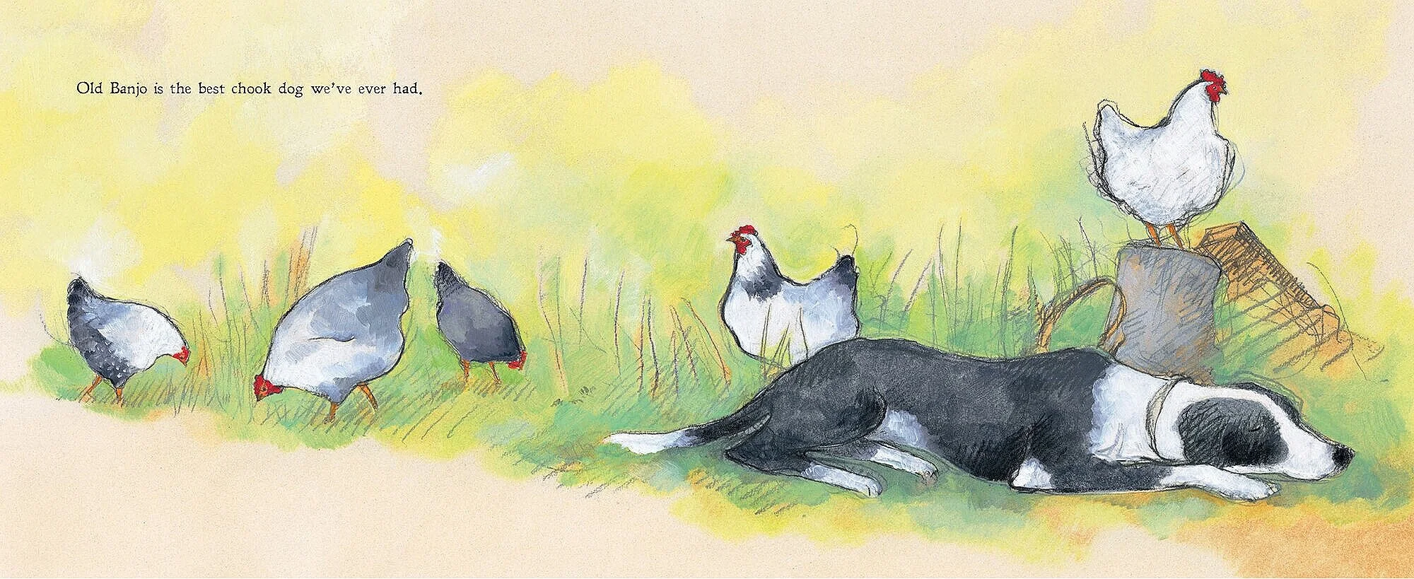 BANJO AND RUBY — Art of the Picture Book