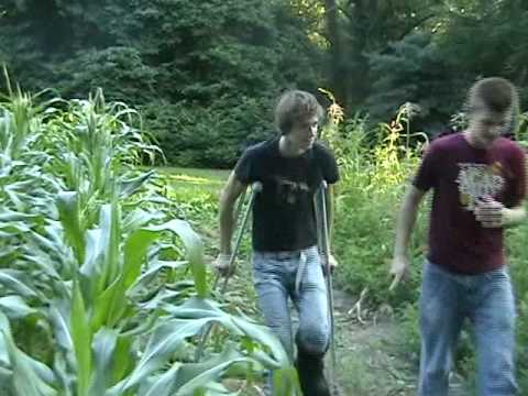 Party Pedos
