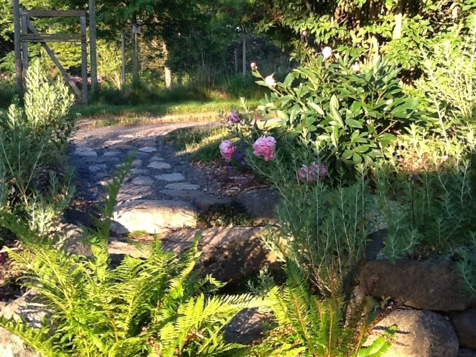 stone path.jpg