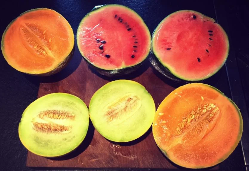 melons.jpg