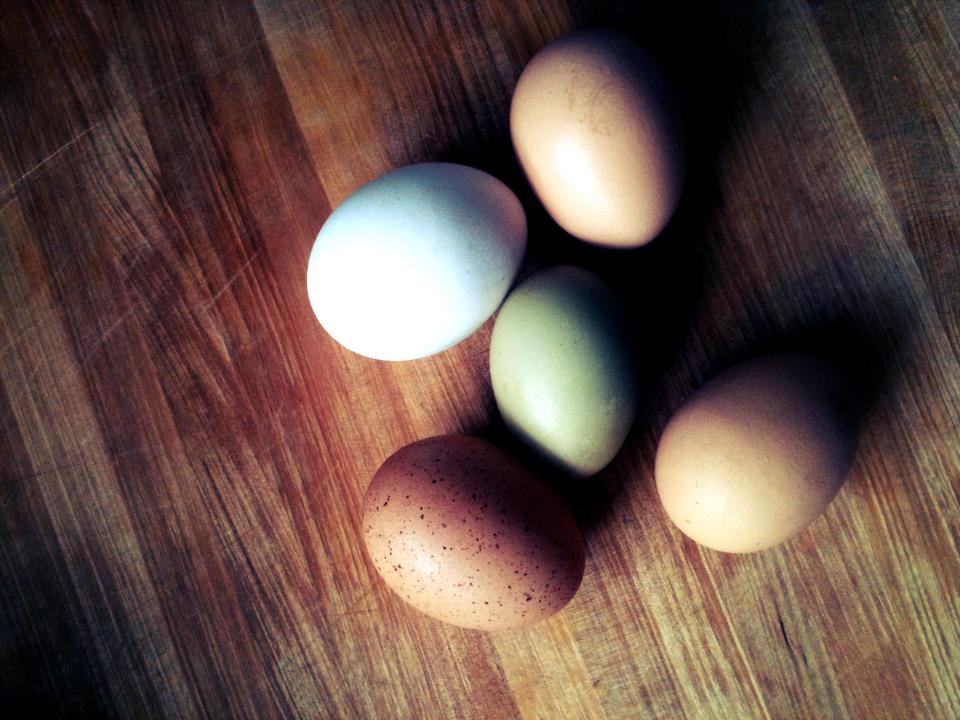 Eggs on cutting board