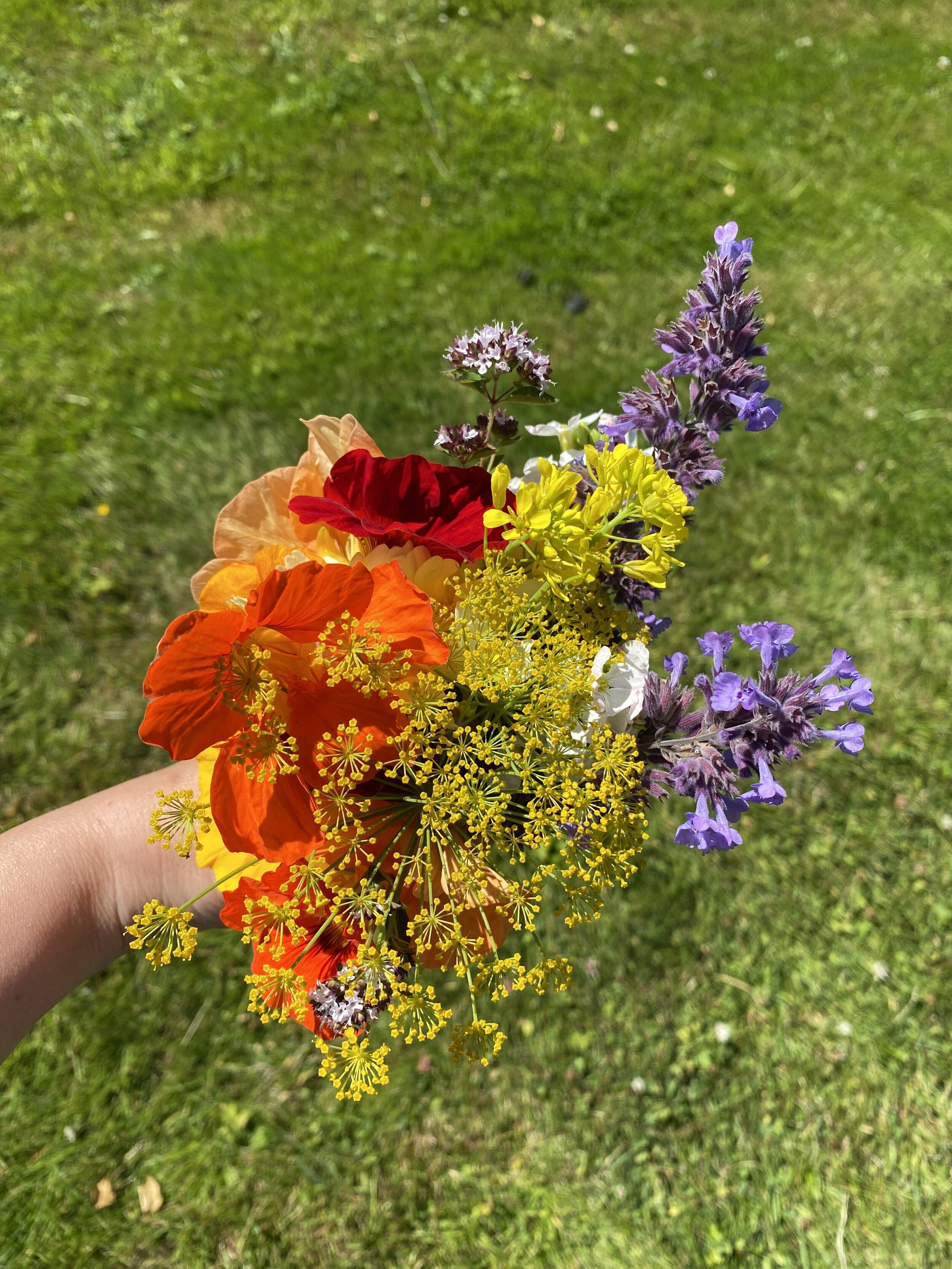 EdibleFlowers.JPG