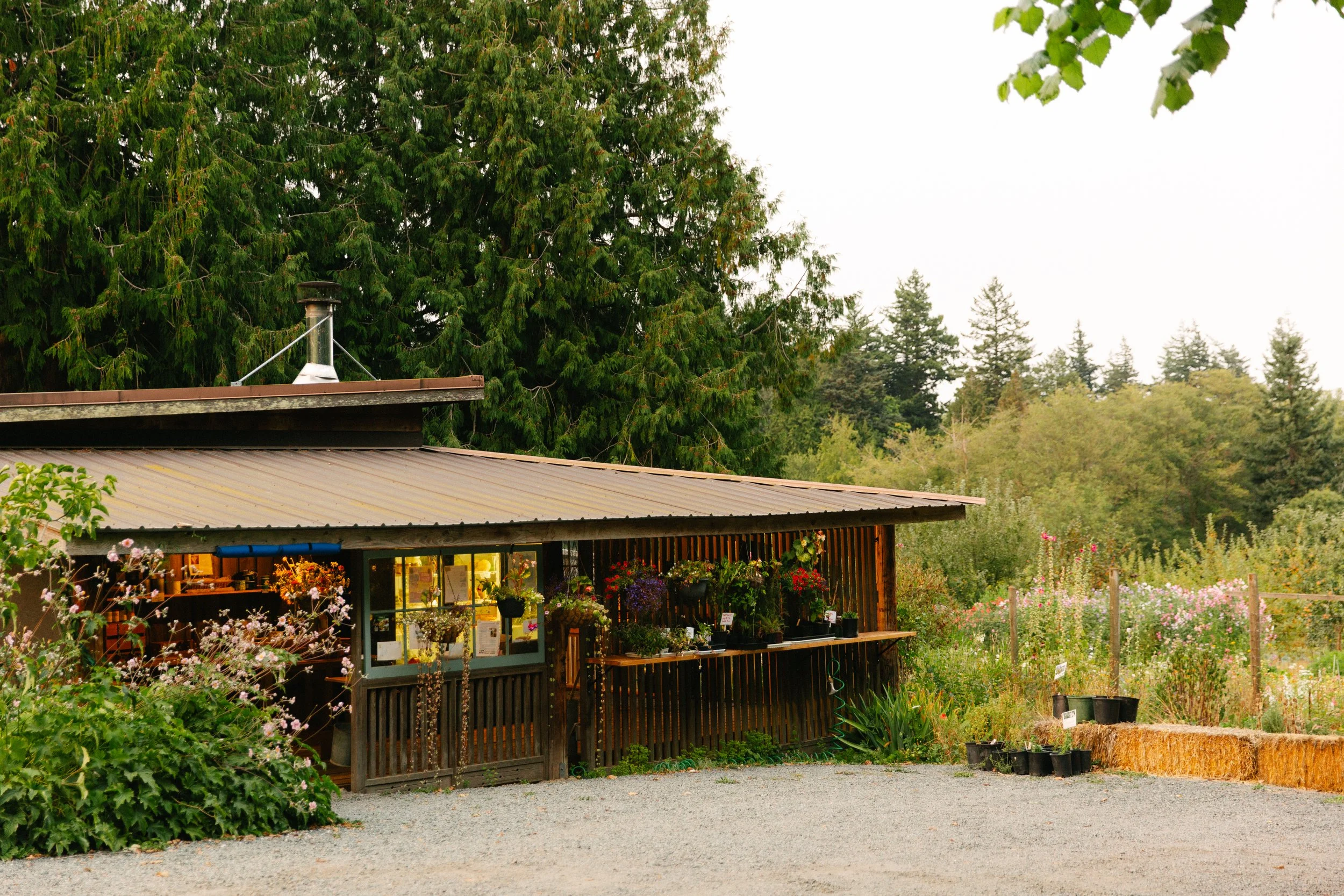 Farmstand from road (1).jpg