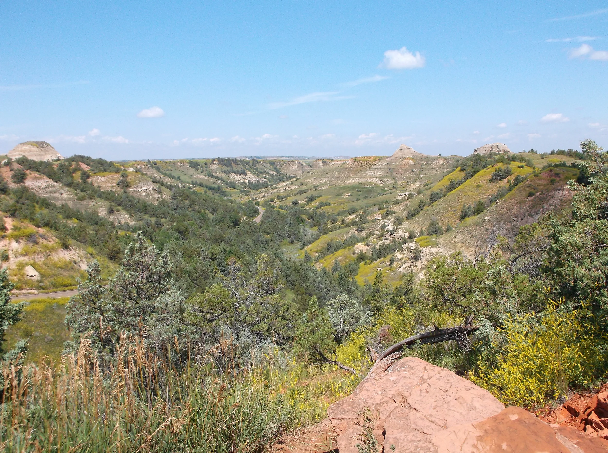 DSCF0261.JPG