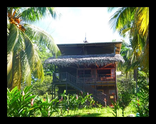 the house