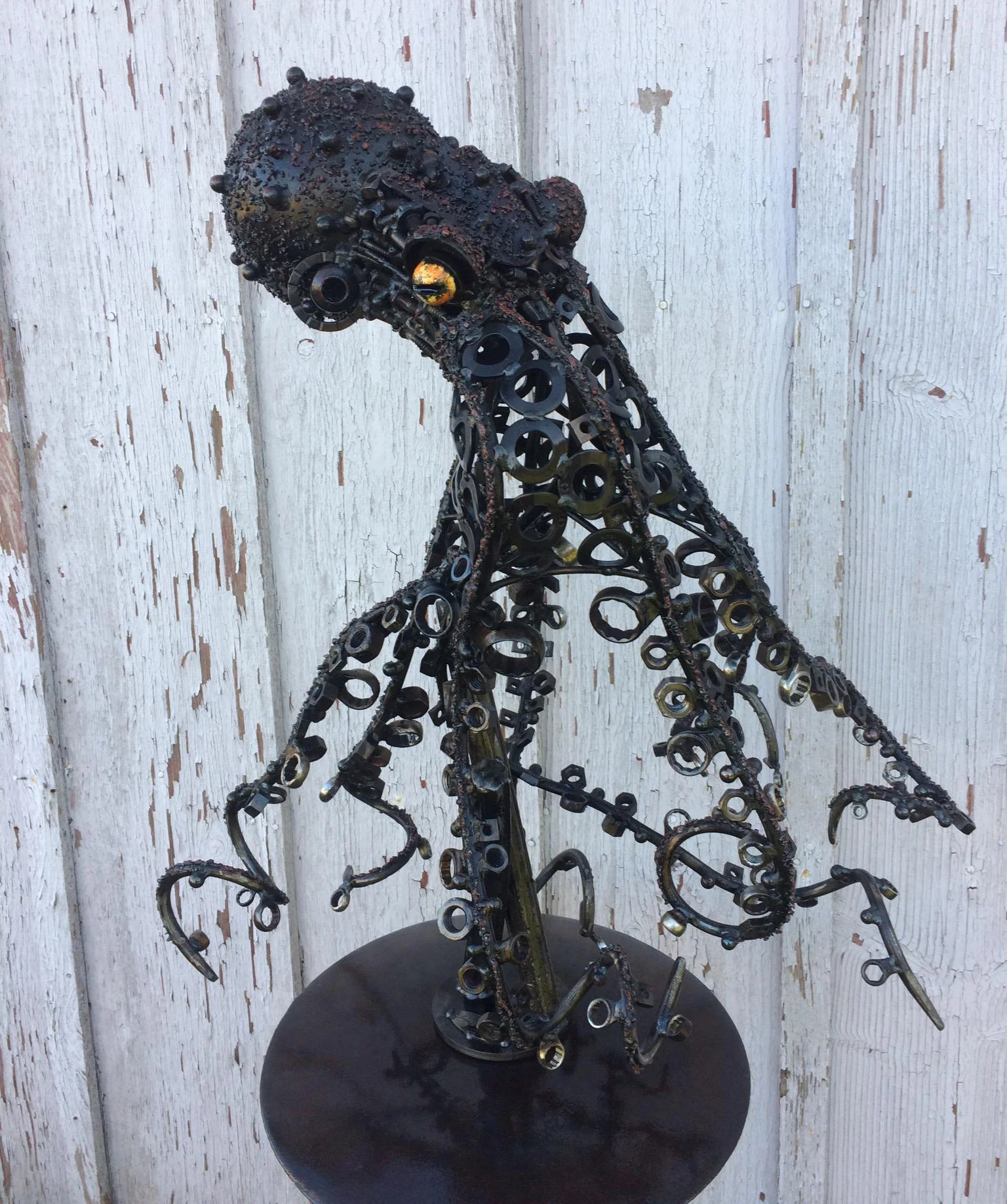 Octopus