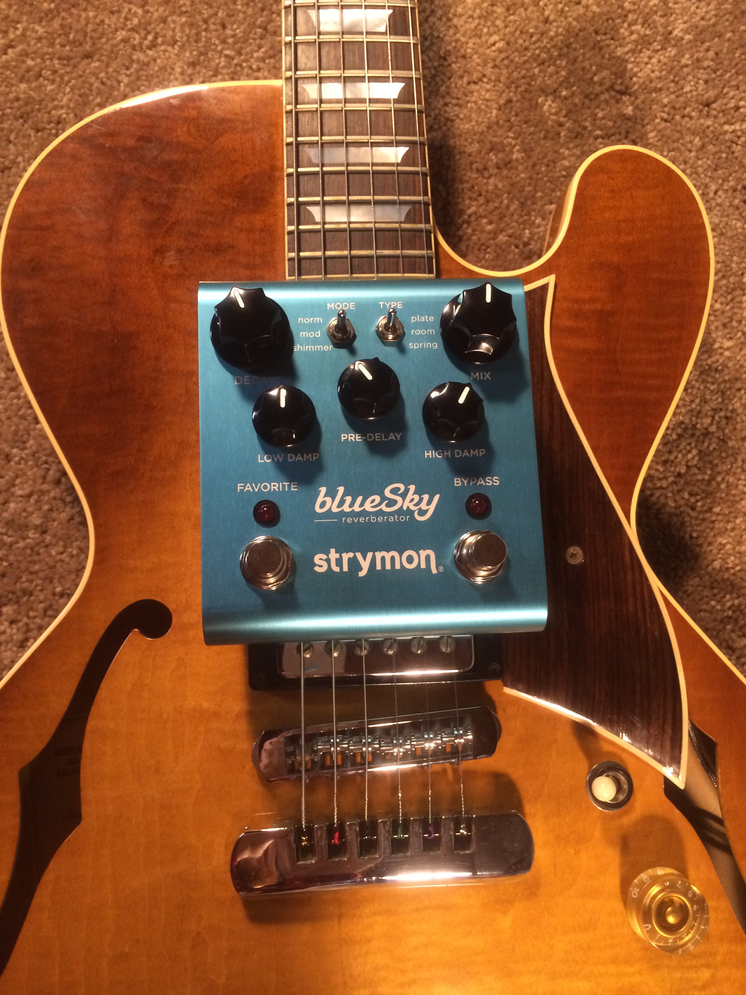 New gear day...love me some shimmer!