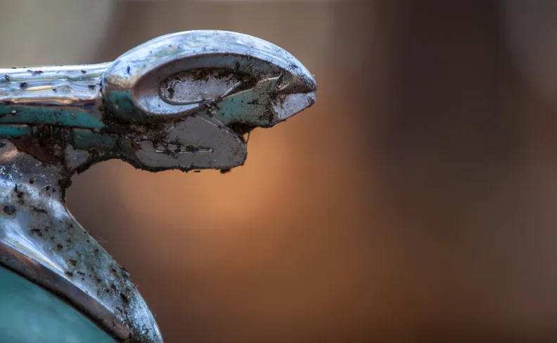 Photography Jerry Drisaldi