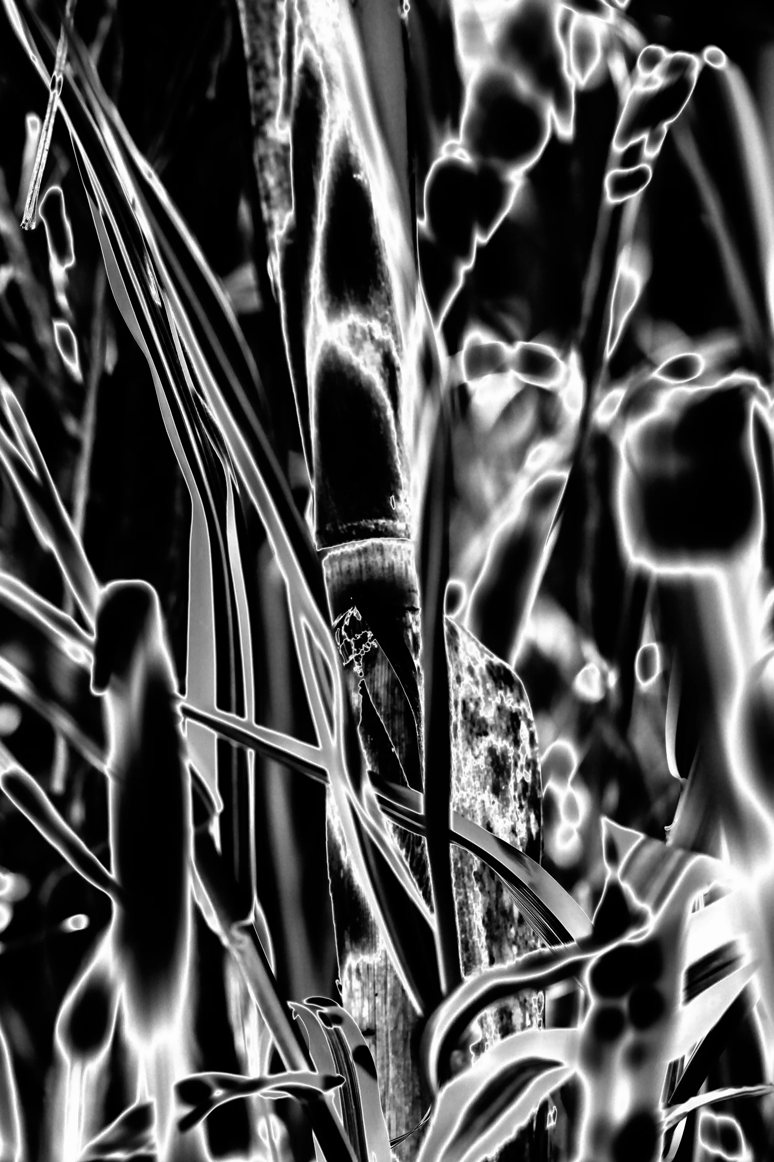 Abstract-6.jpg
