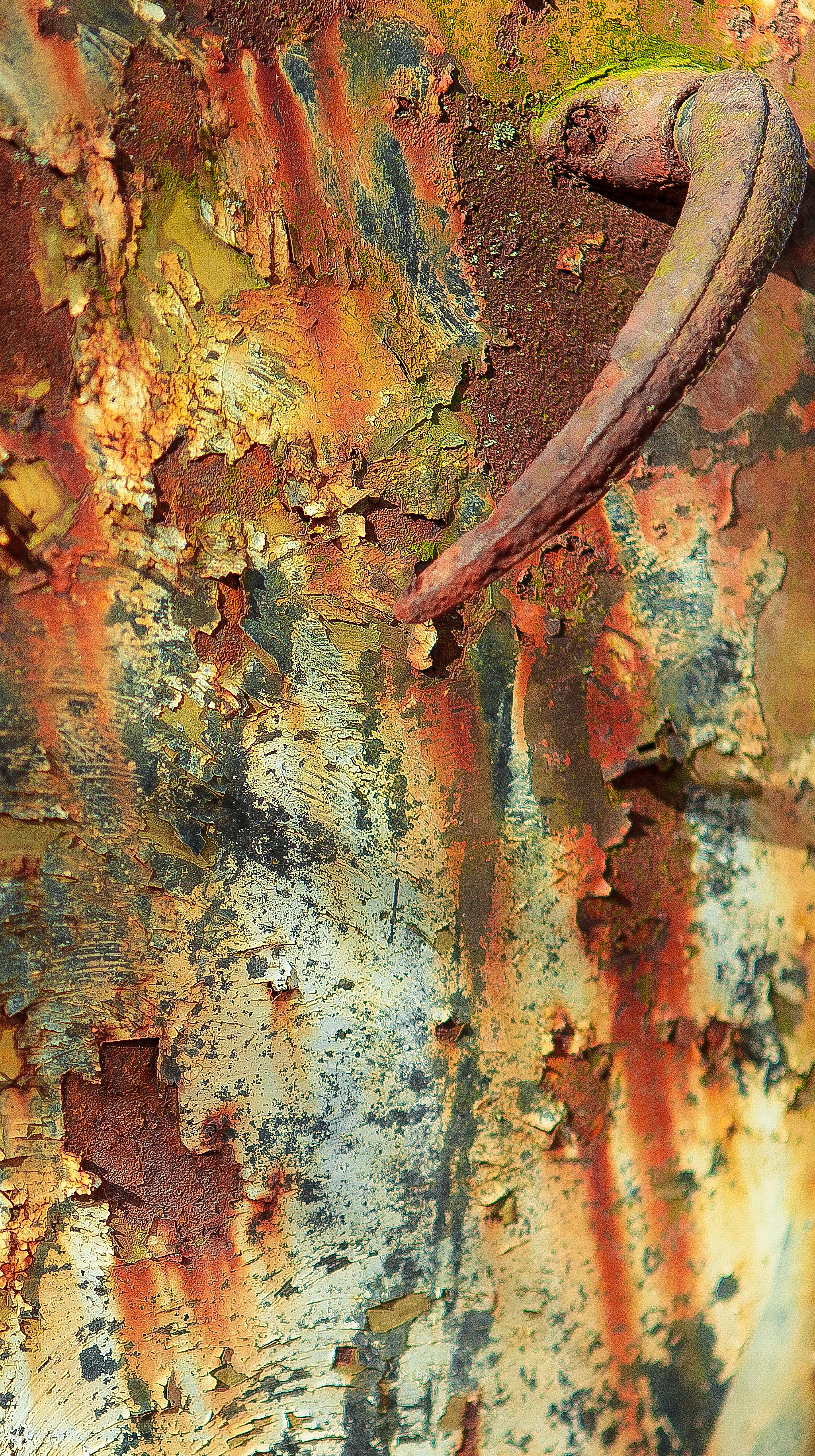 Abstract-12.jpg