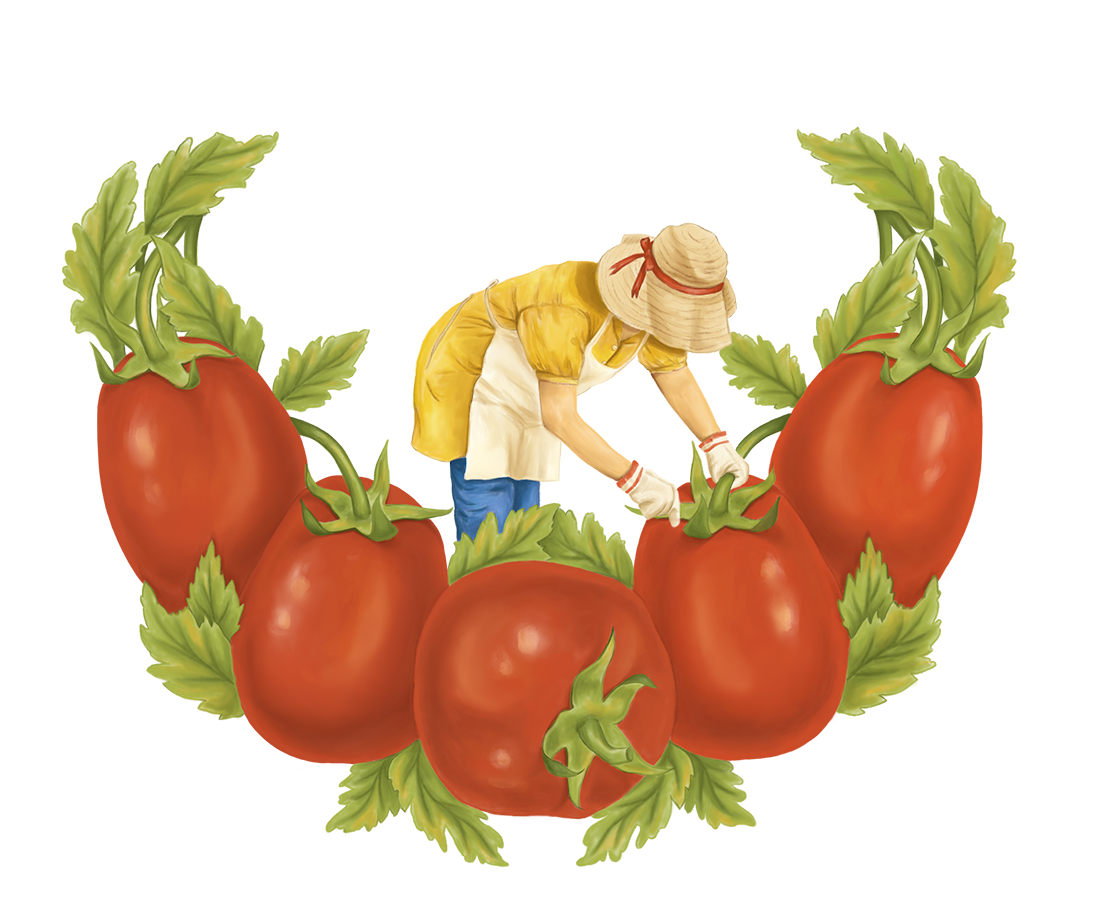 THE TOMATO LADY.png