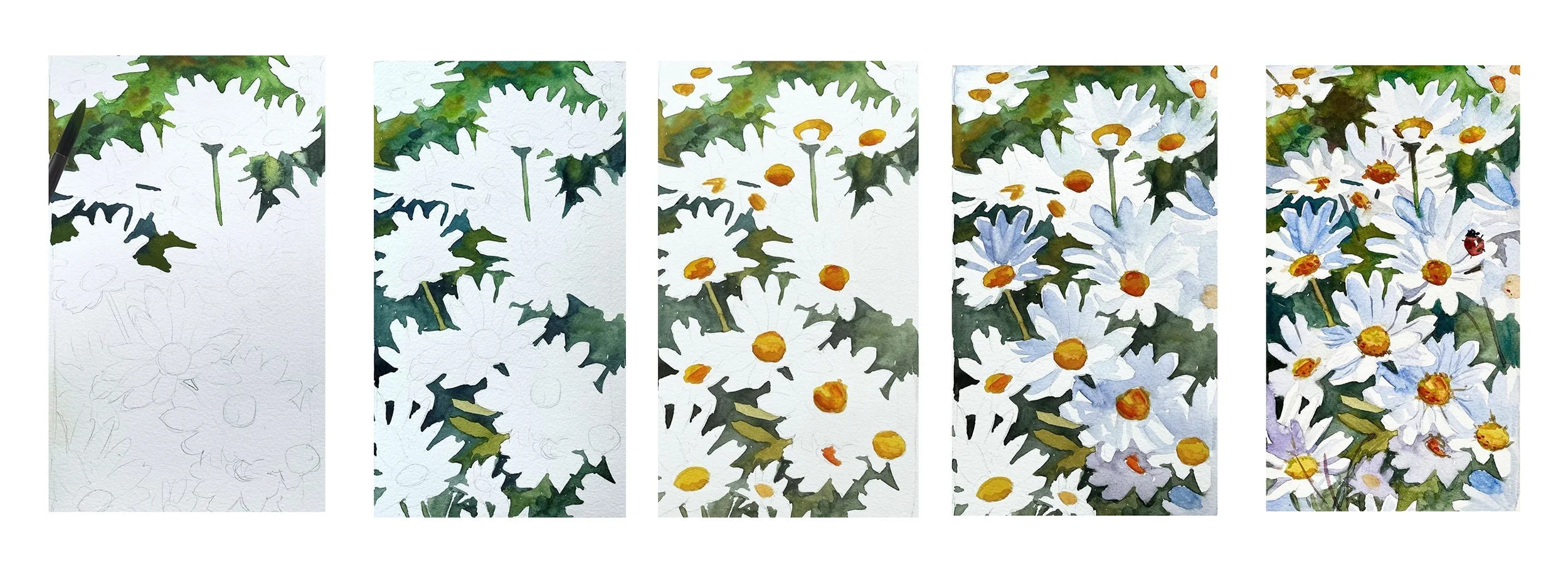 Floral Watercolor for Beginners