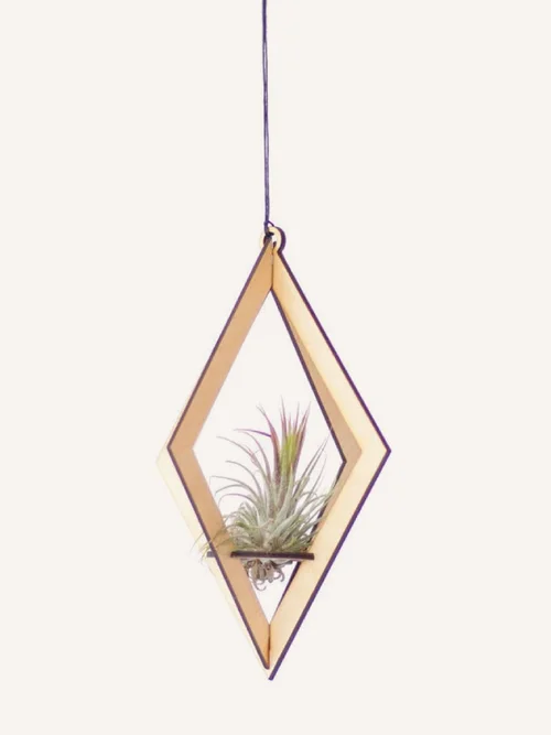 Diamond Air Plant Hanger in Maple  The DIME Store