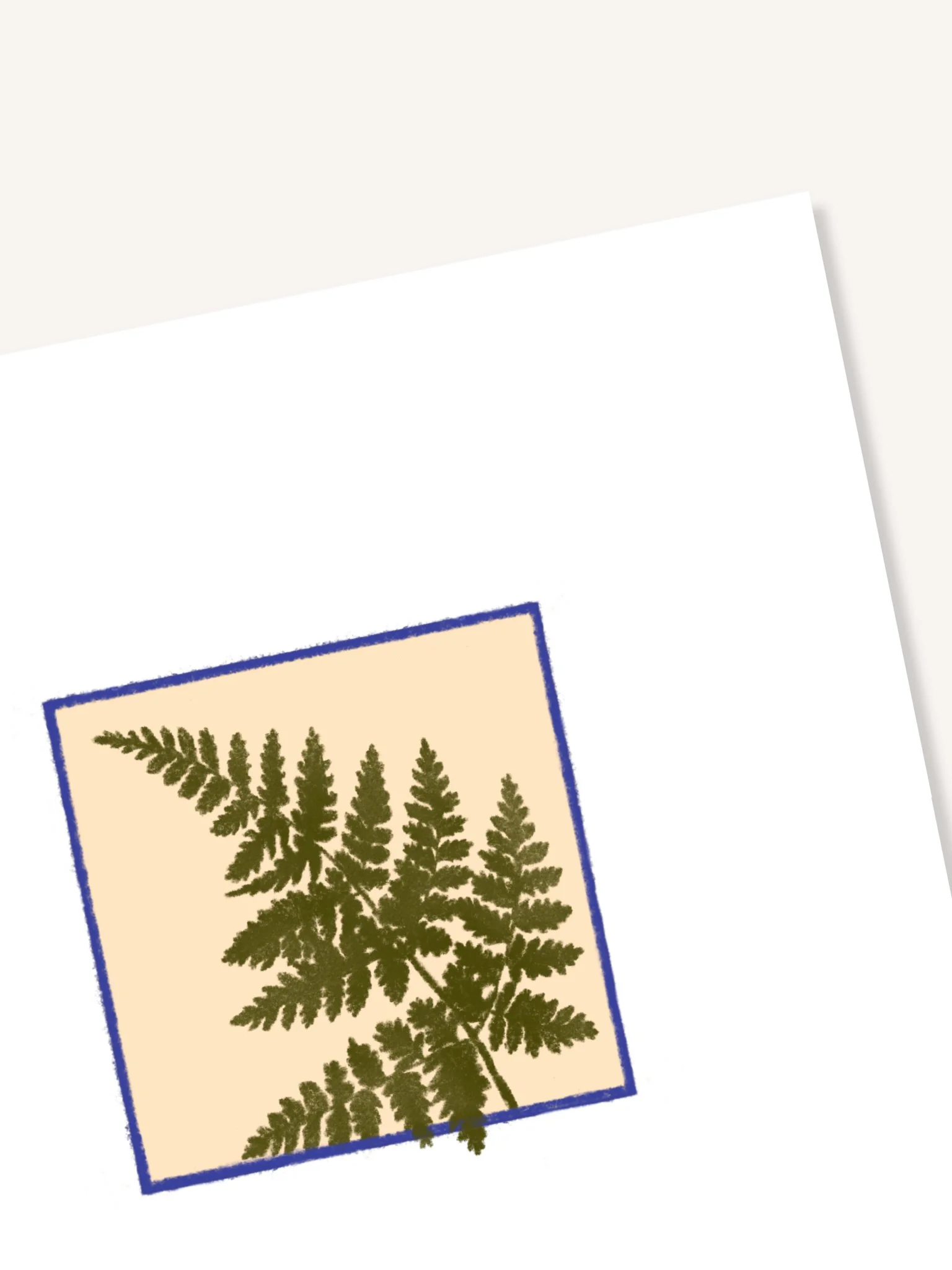 fern-detail.jpg