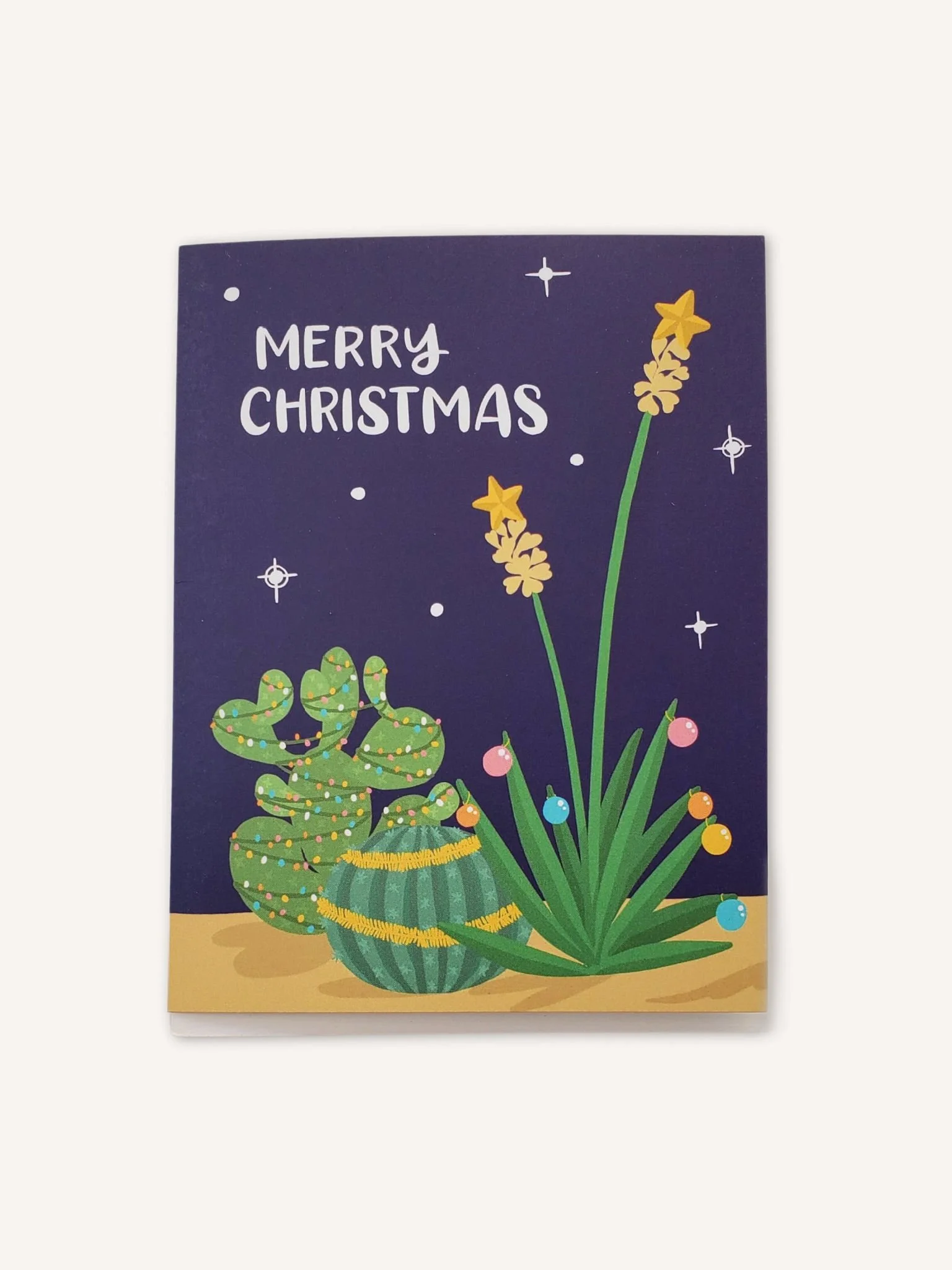 desert-christmas-card.jpg