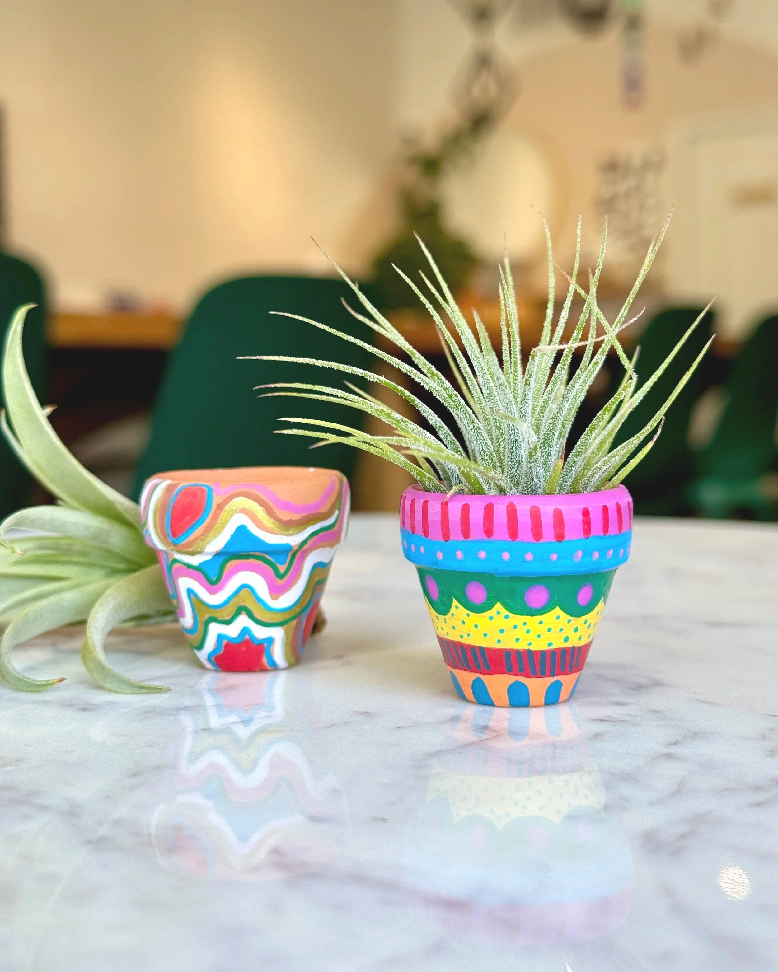 3/6: First Friday: Paint a Tiny Planter!