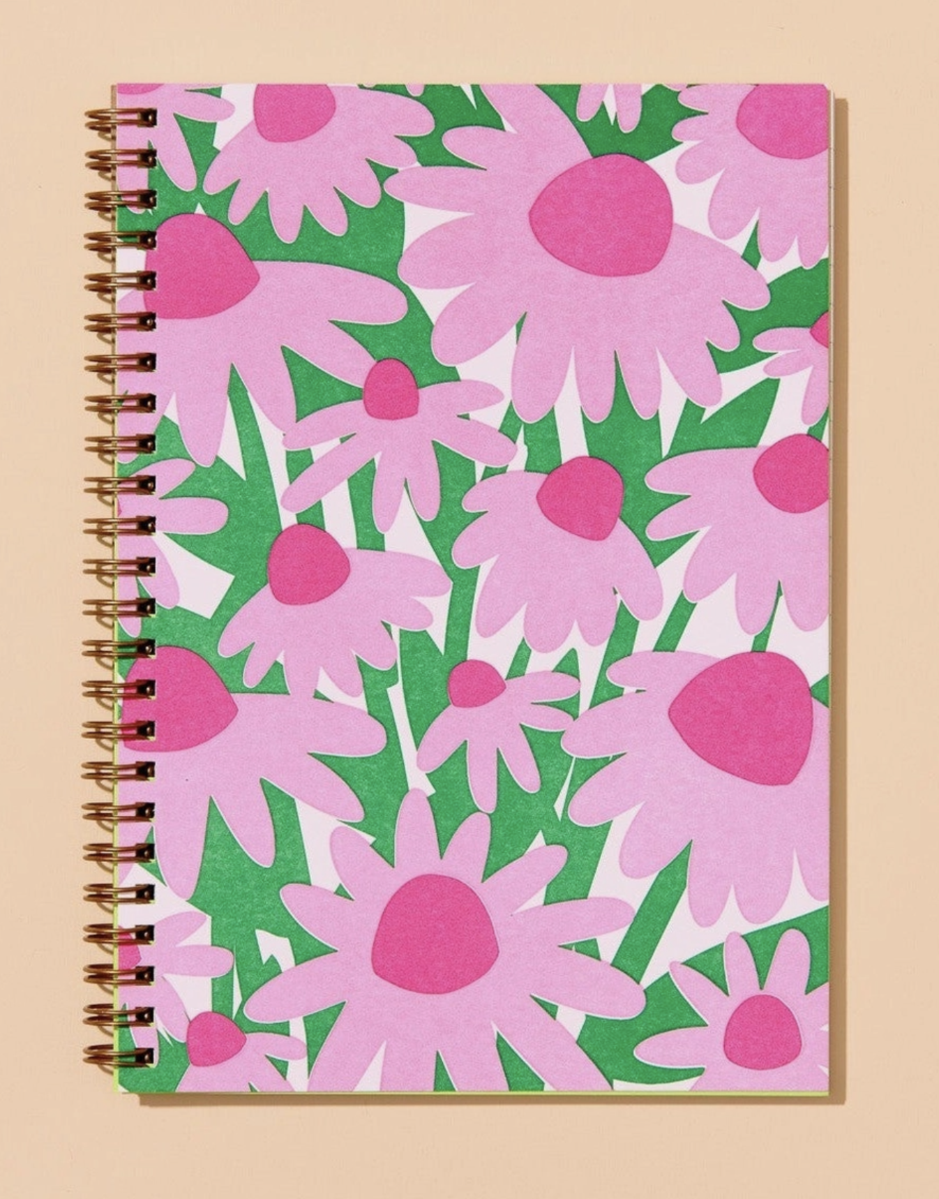 Coneflower2.png