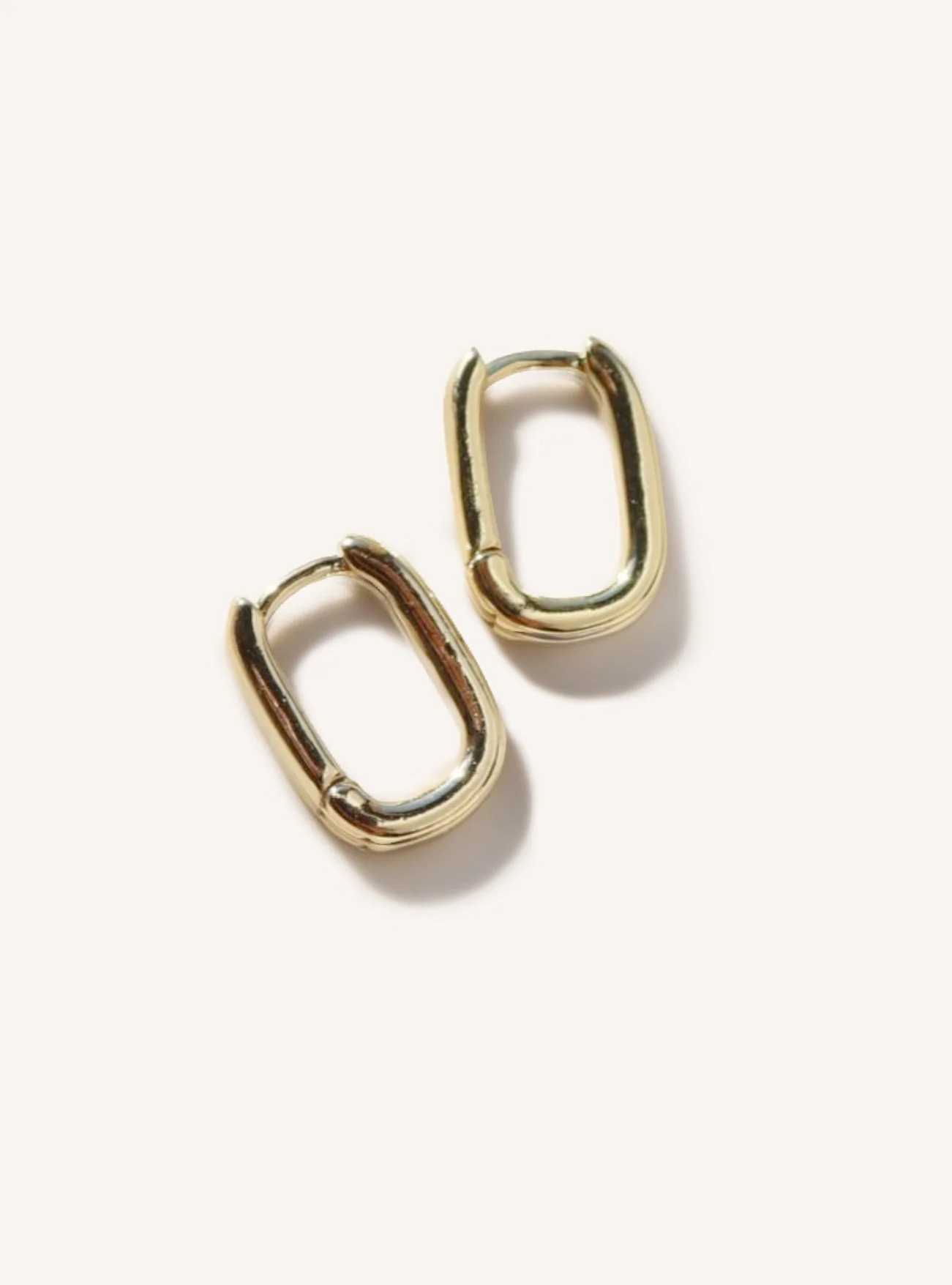 Diana Hoops.jpg