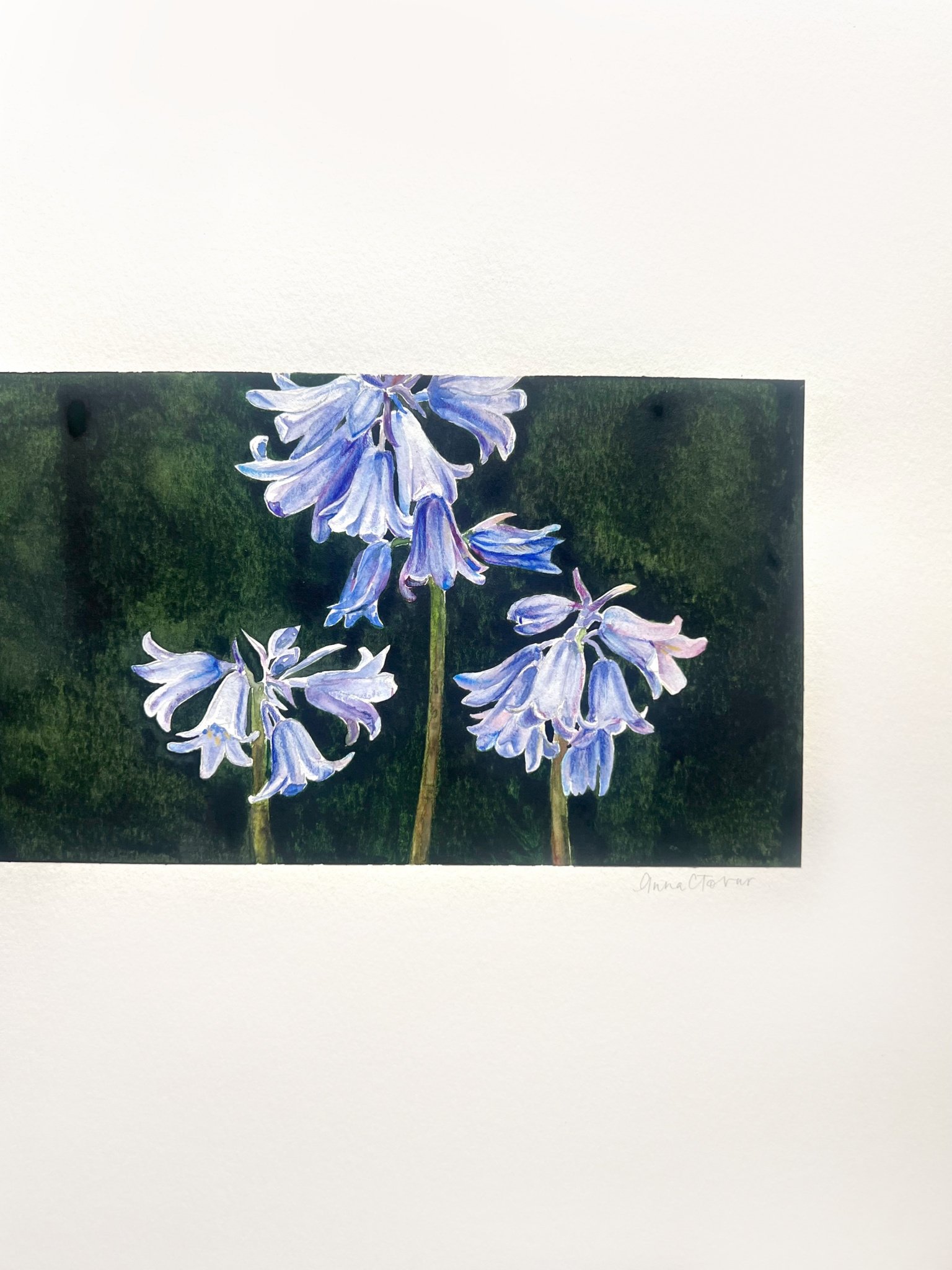 Bluebells Detail.jpg
