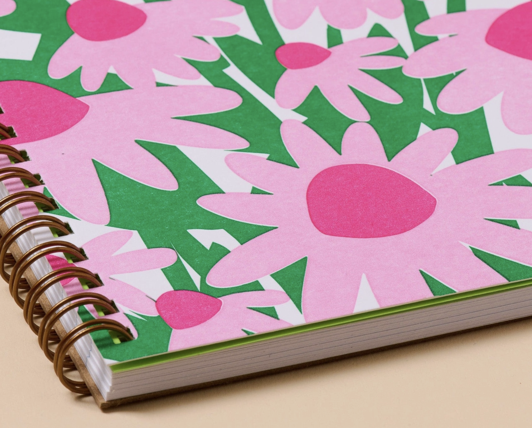 Coneflower3.png