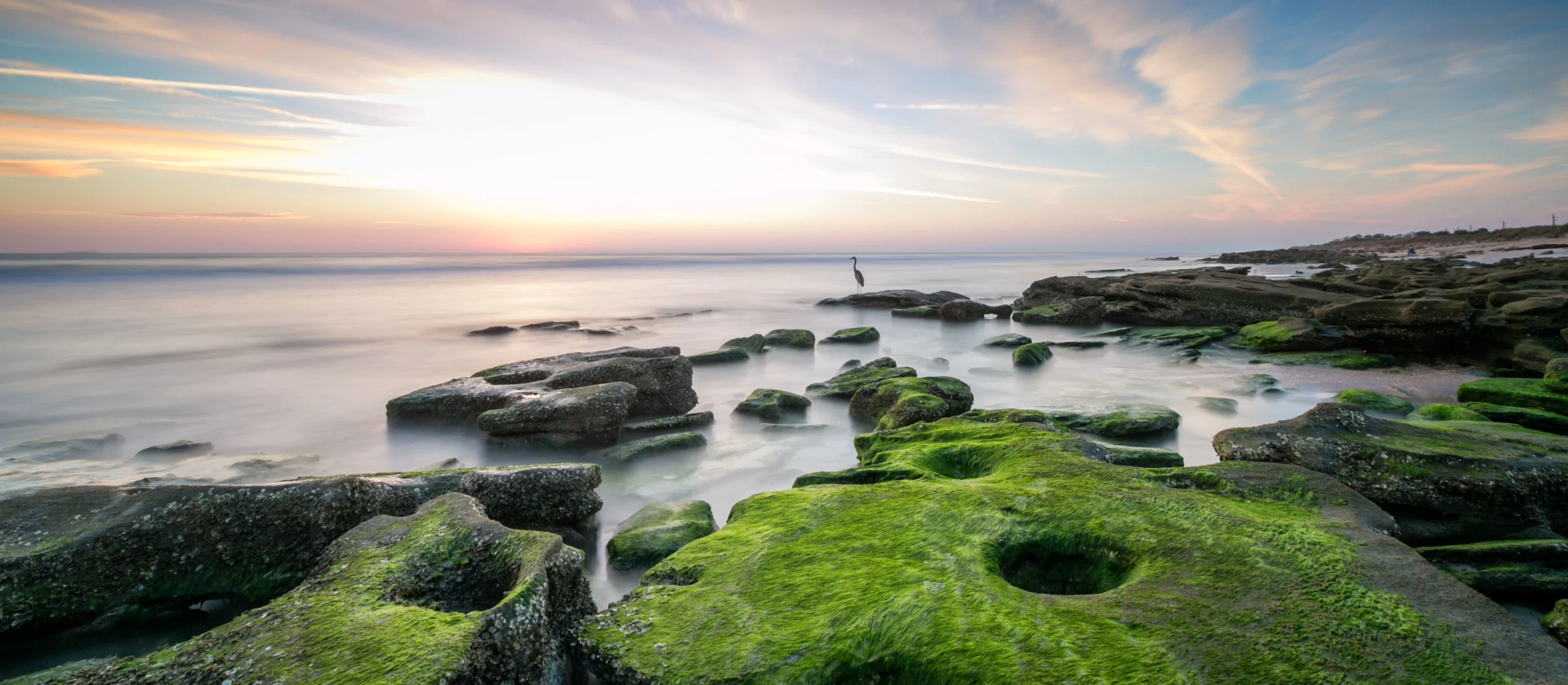 Anastasia Island – Northeast Florida, USA