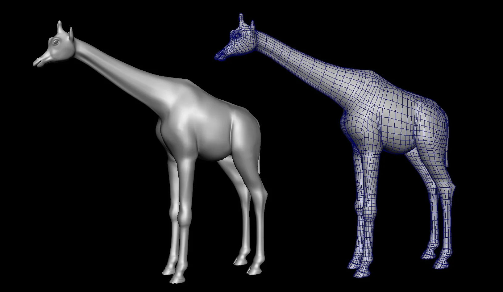 Giraffe.jpg