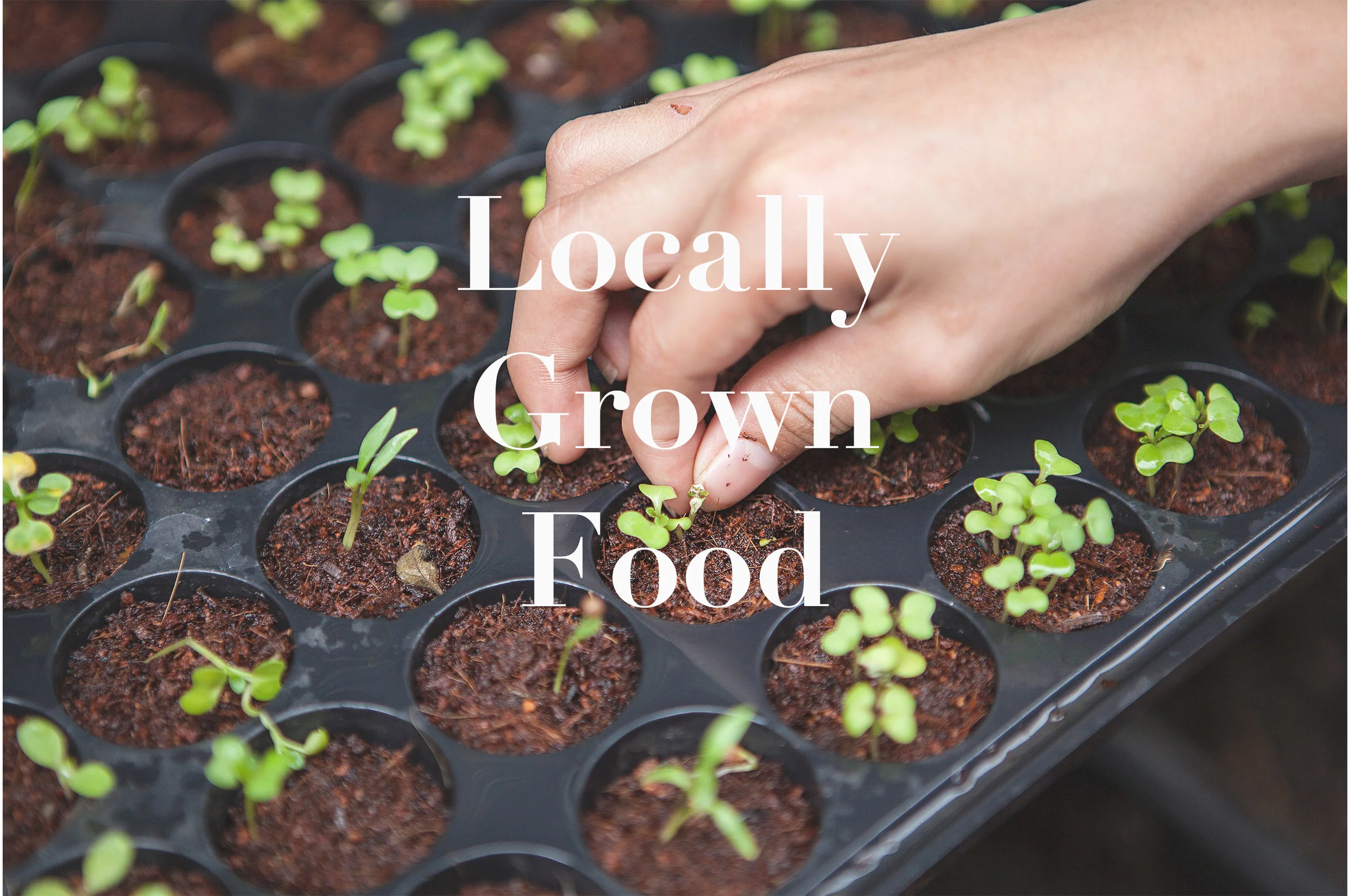 LocallyGrownFood.jpg