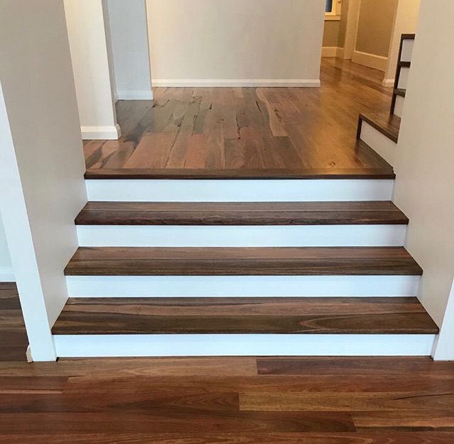 Spotted Gum Floors - using Modified Oil
