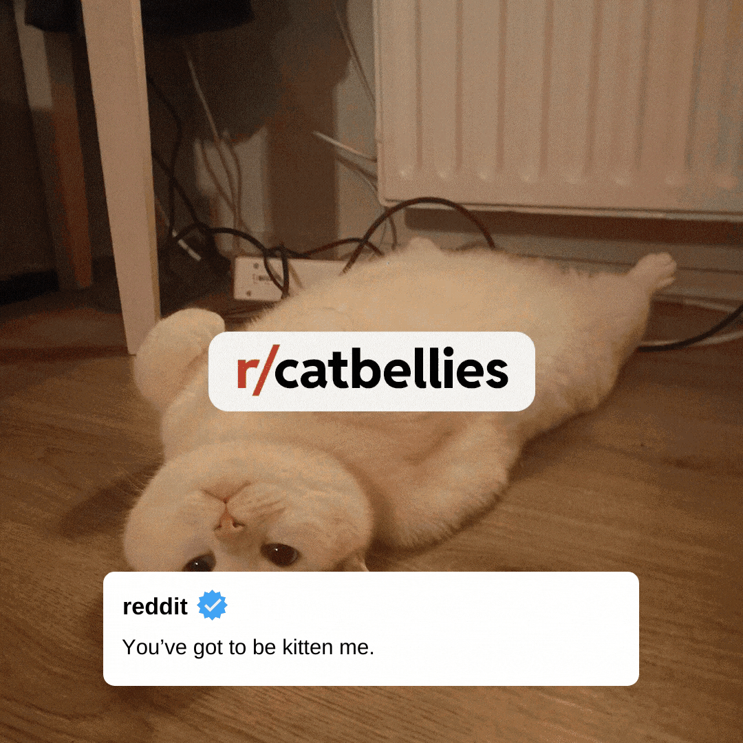 Instagram Portfolio.gif