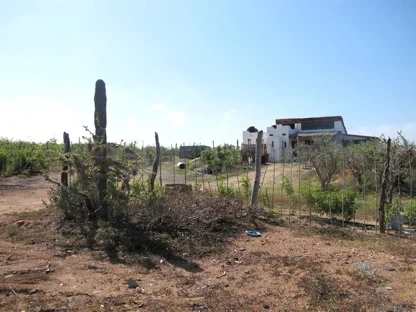  The view of our land from your land.