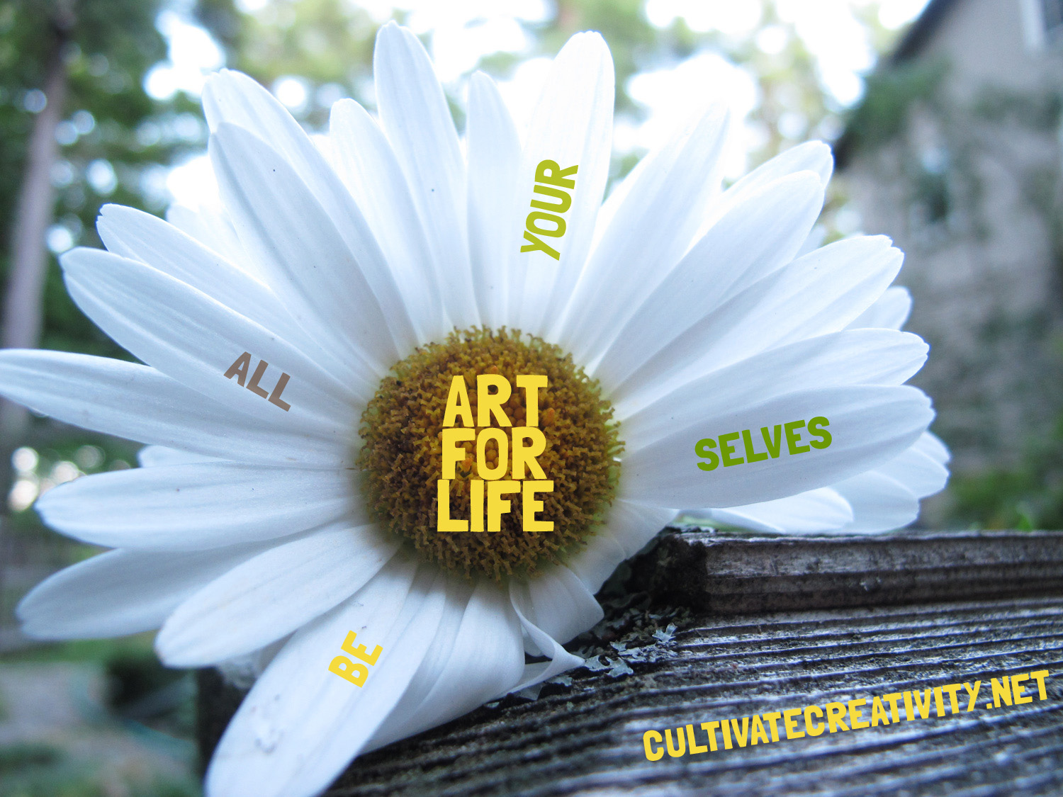 art-for-life-daisy-two copy.jpg