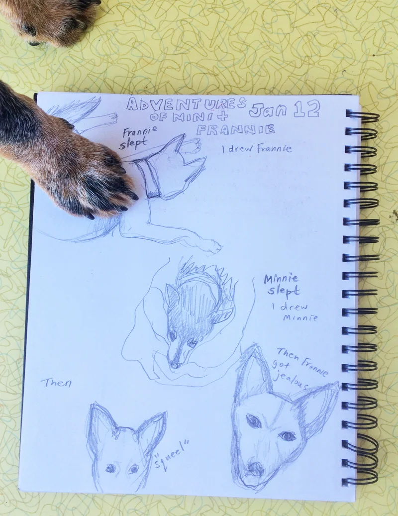 Doggie-Journal.jpg