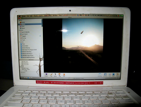 shapeimage_1 (8).png