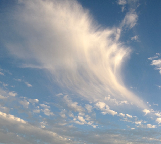 shapeimage_1 (13).png
