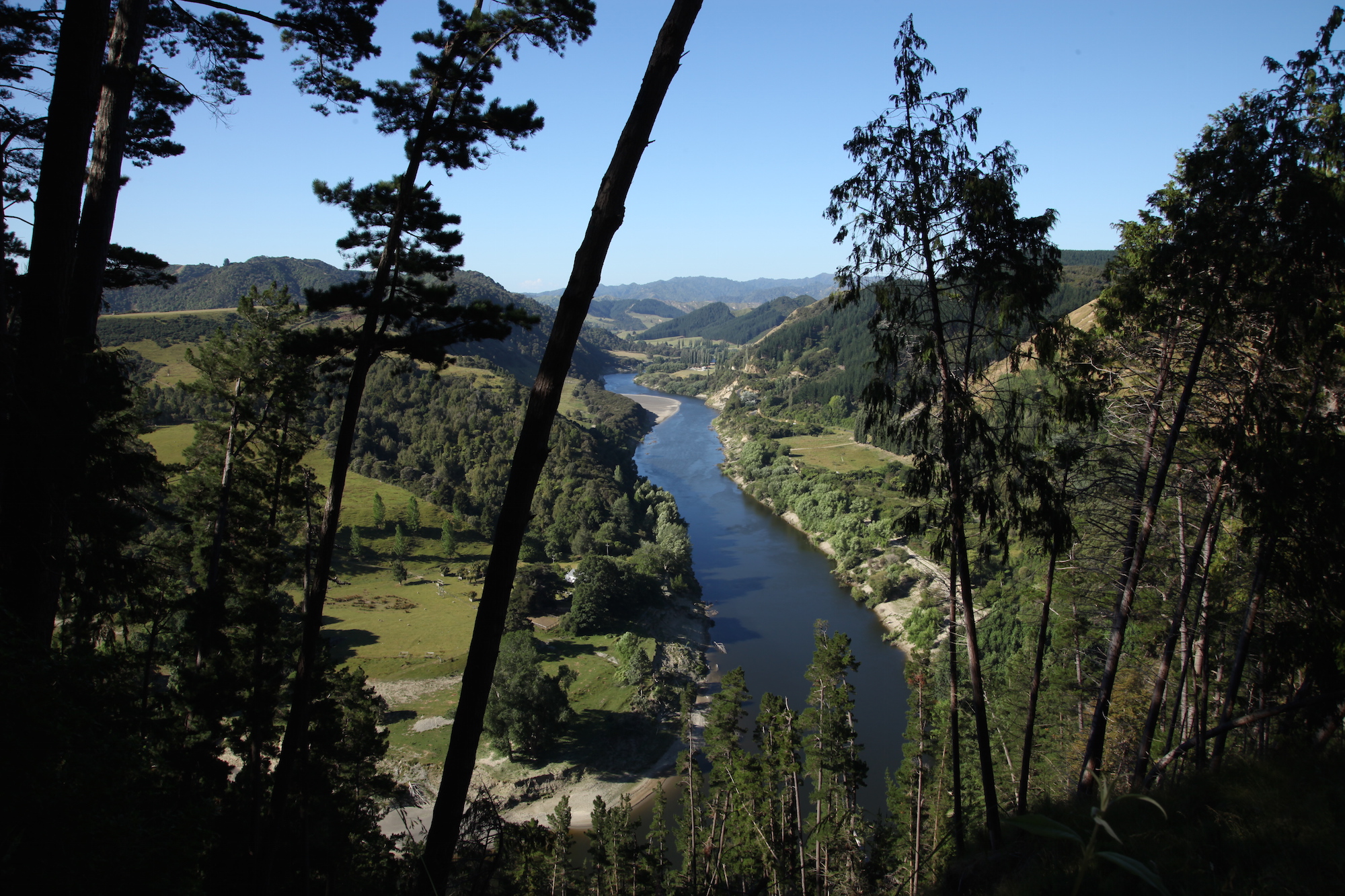 Wanaganui River New Zealand_2.jpg