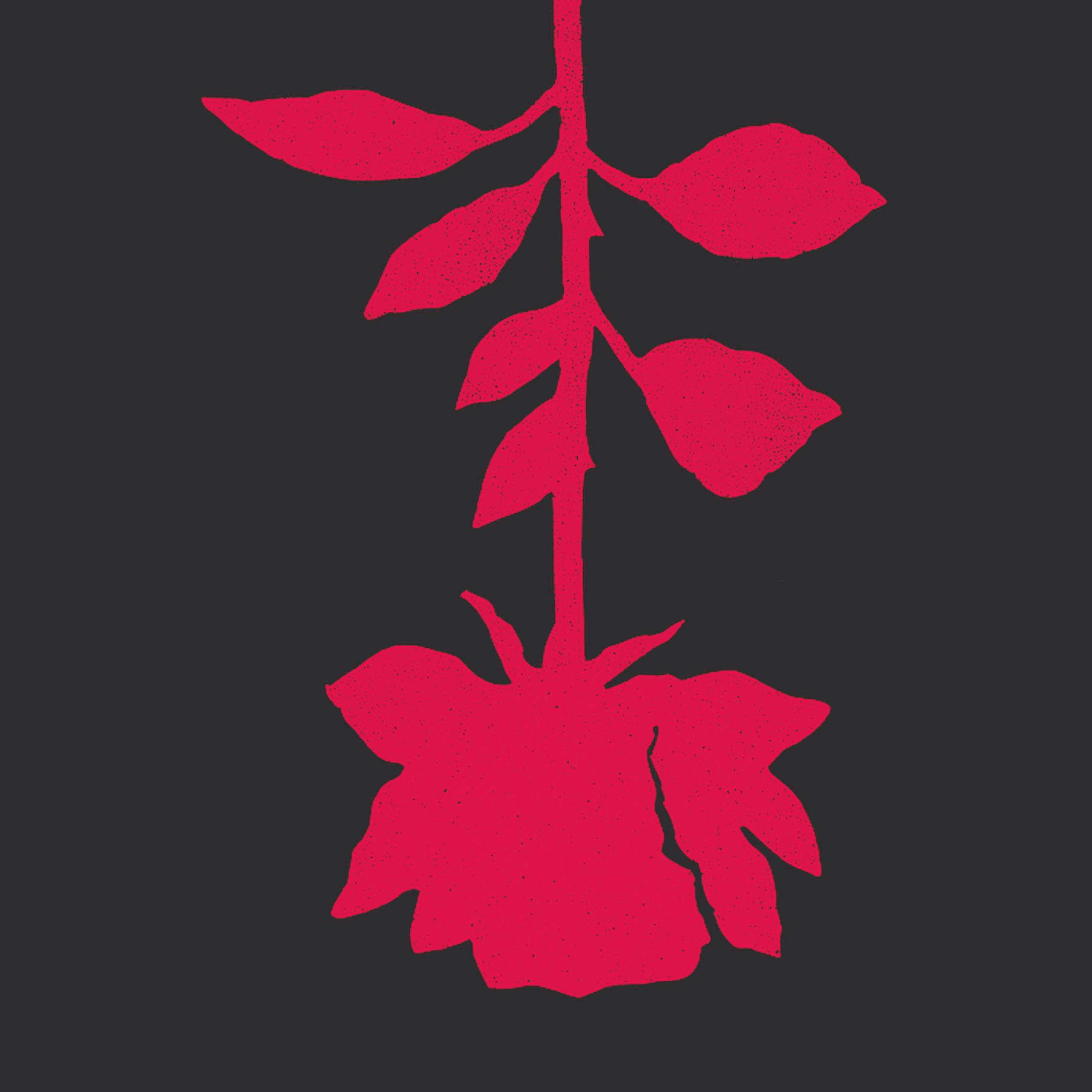 a thousand monkeys, a thousand typewriters