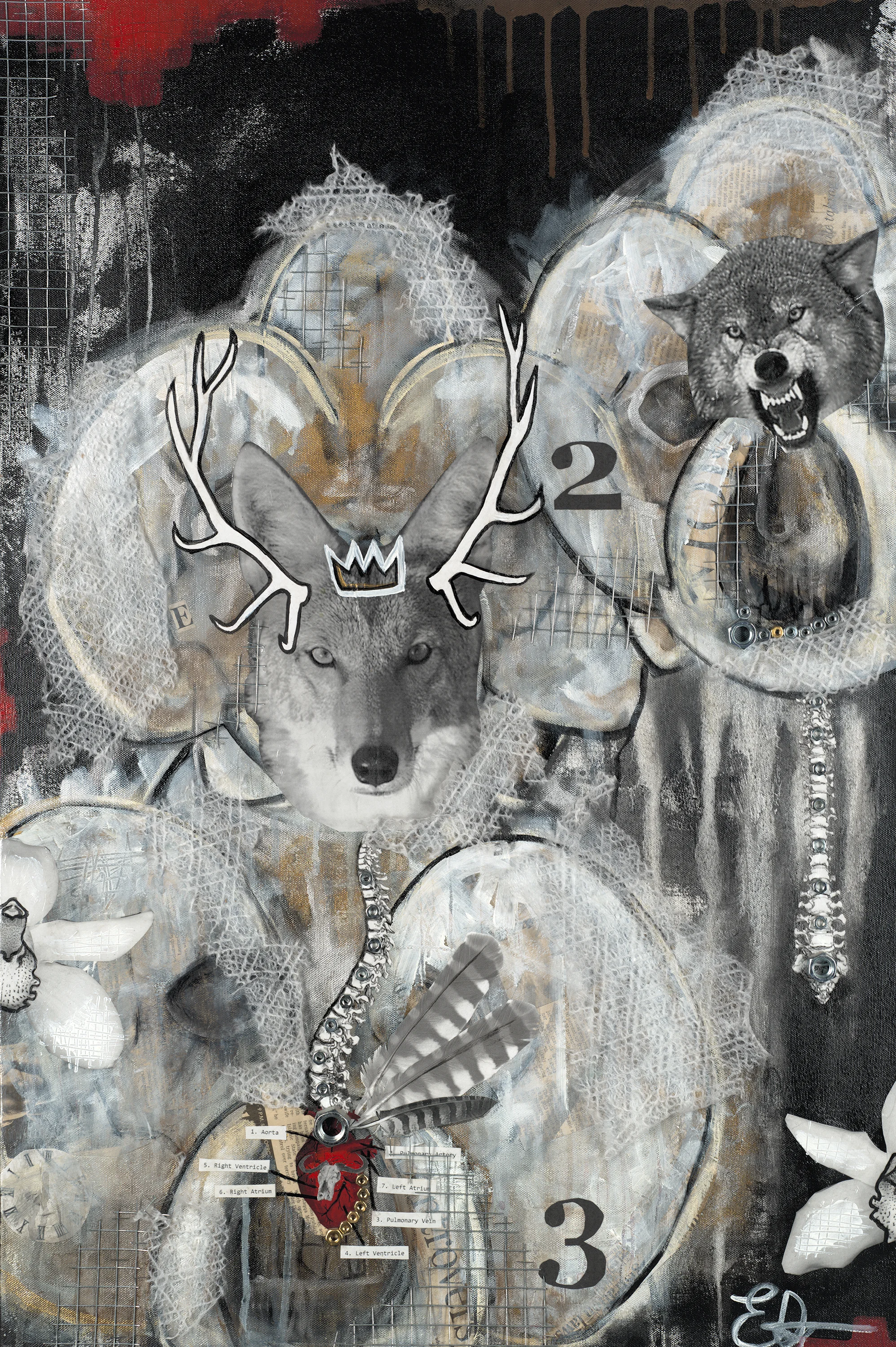 "Flora and Fauna"