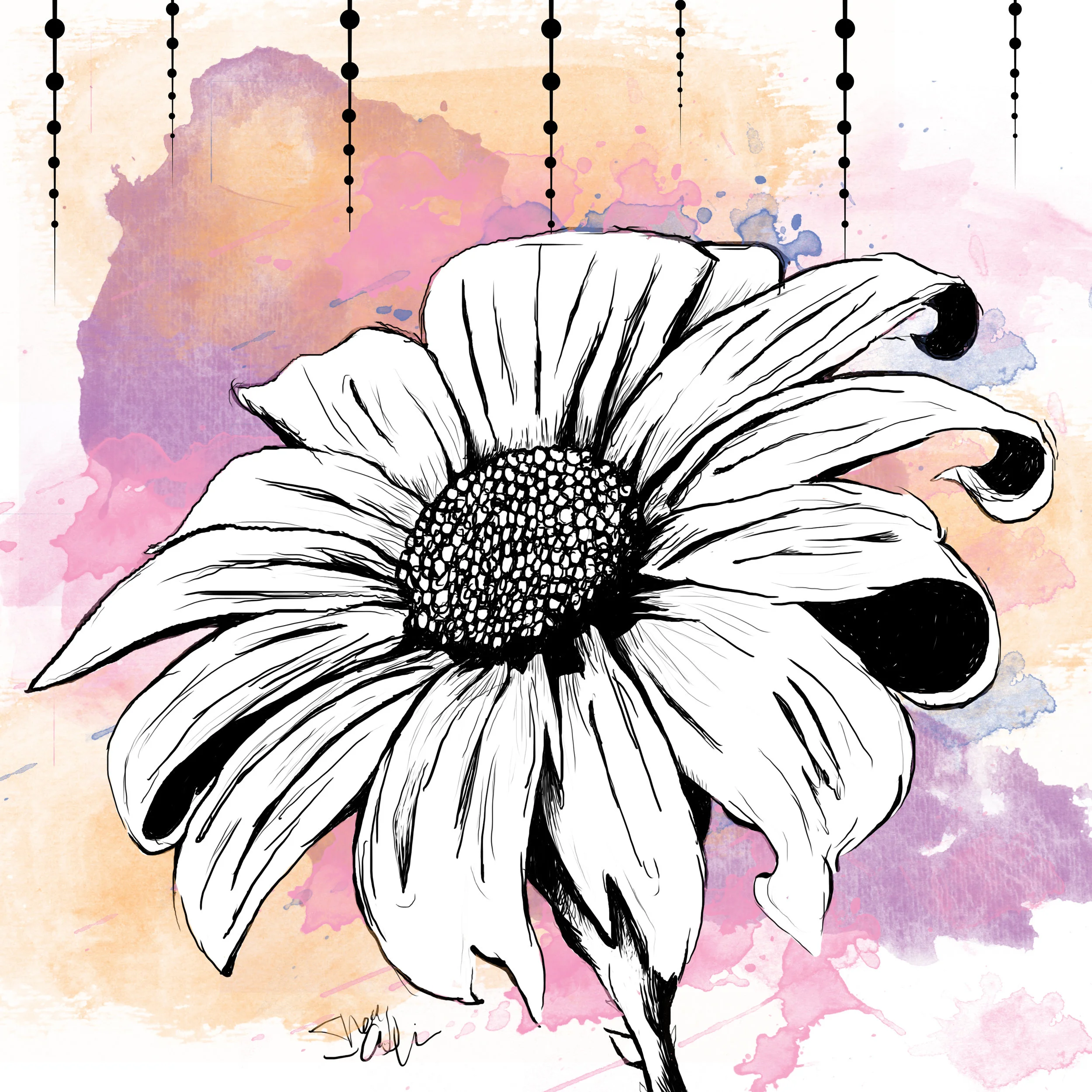 scflower.jpg