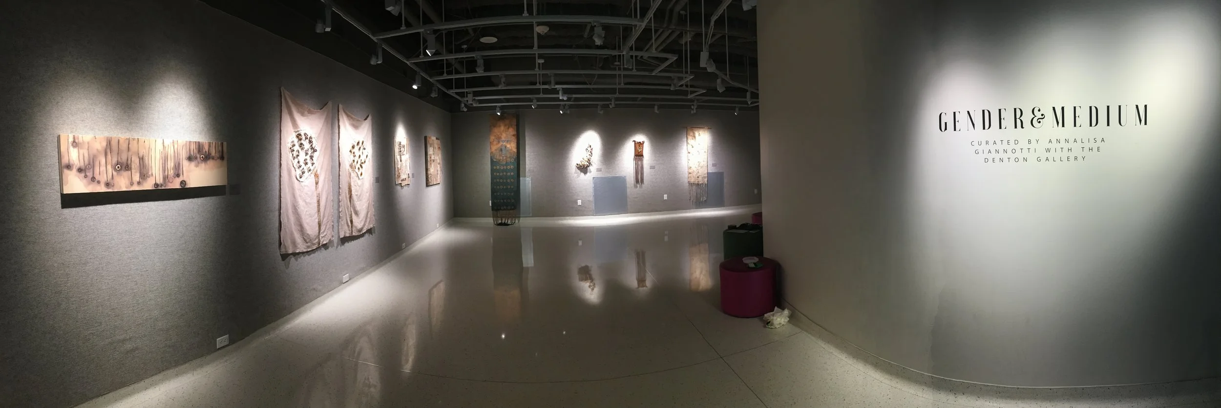 "Gender and Medium" exhibition in the UNT union building. Organized by Annalisa Gianotti.