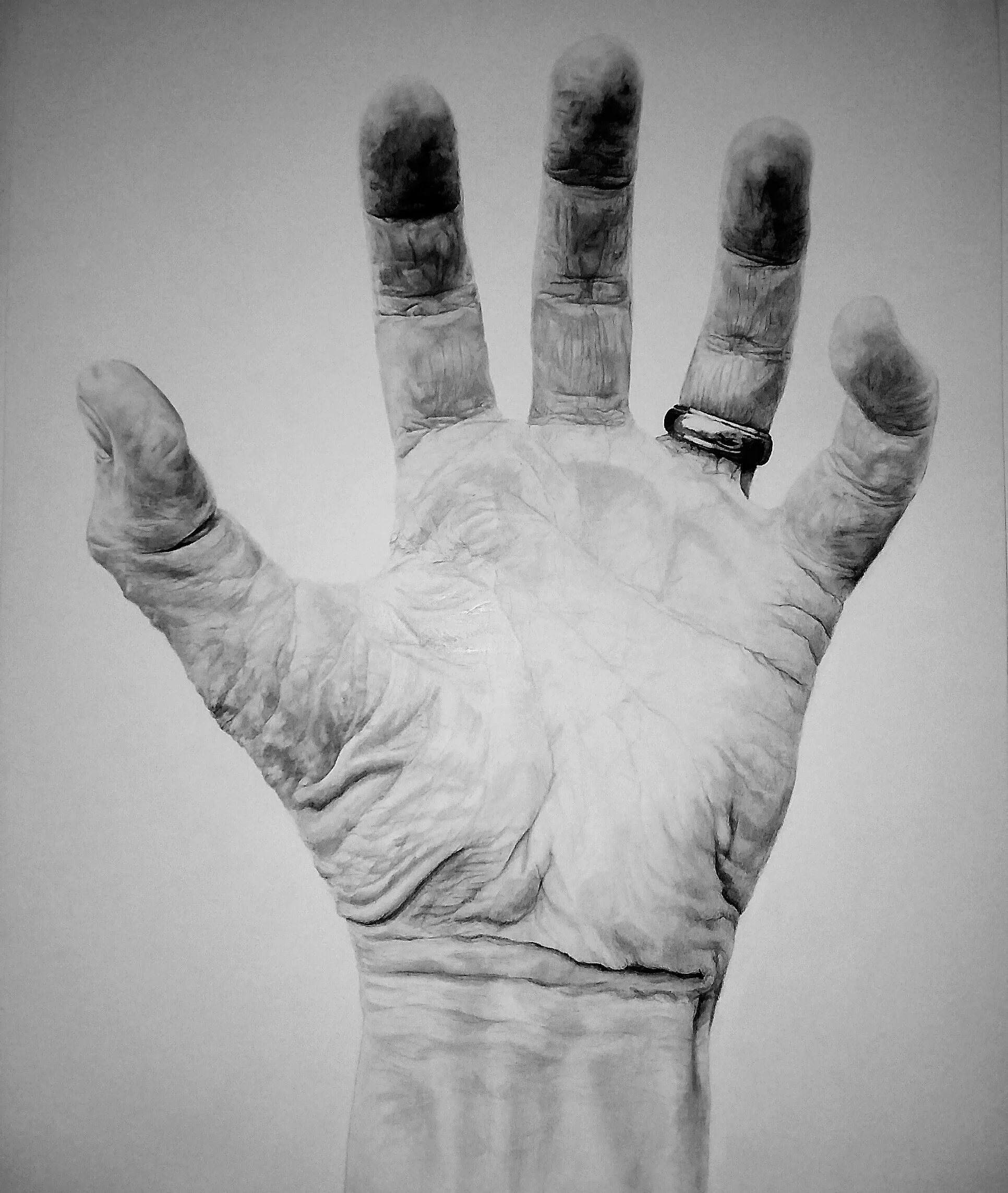 Graphite on bristol board